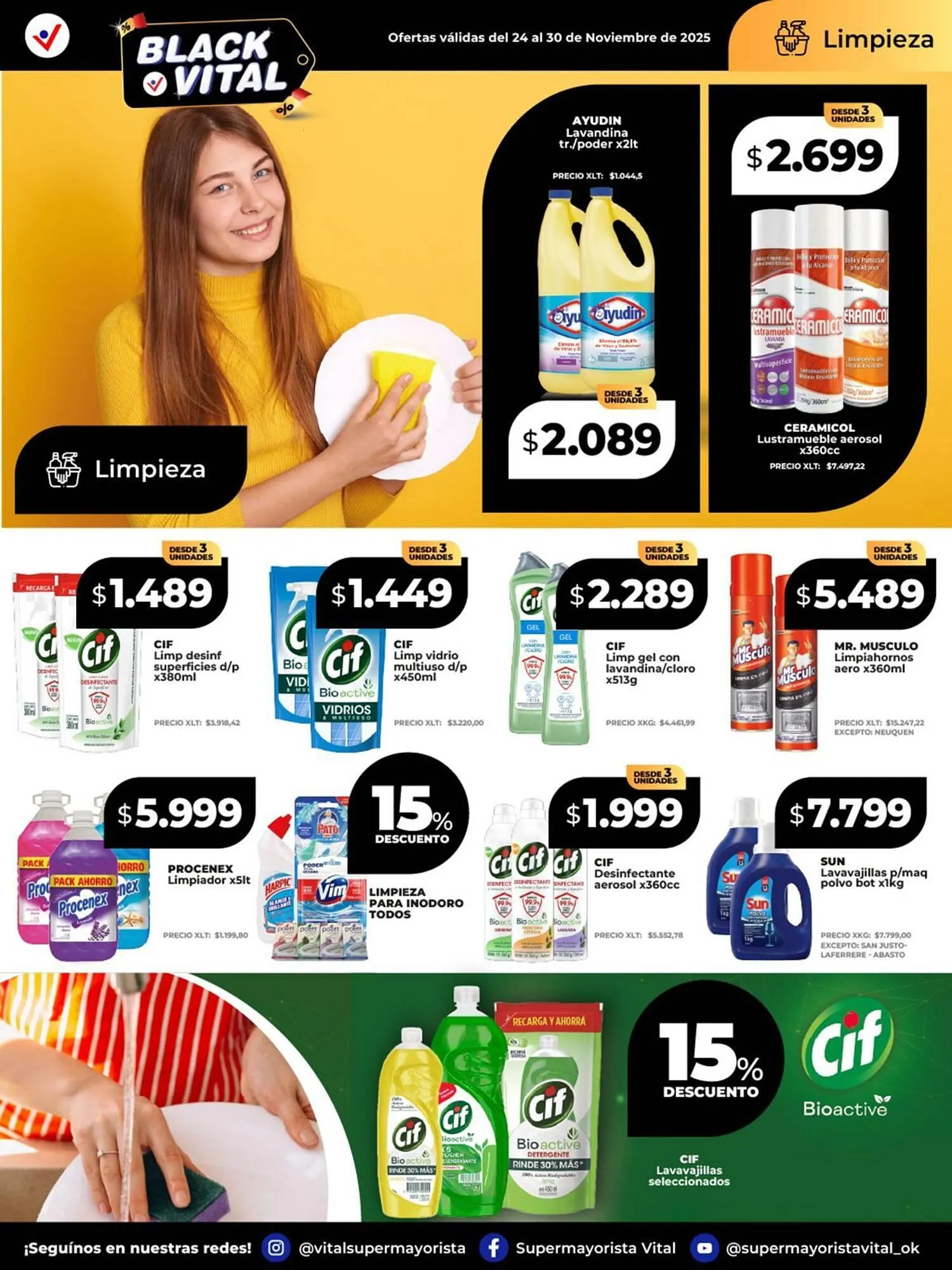 Ofertas de Catálogo Supermayorista Vital 24 de noviembre al 30 de noviembre 2025 - Página 6 del catálogo