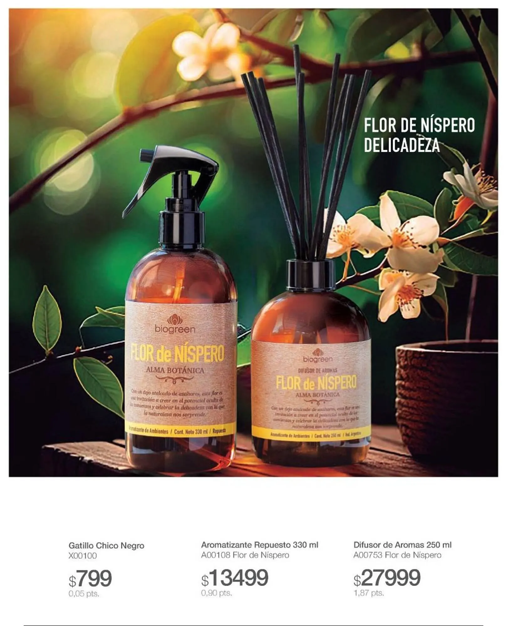 Ofertas de Catálogo Biogreen 28 de julio al 10 de agosto 2025 - Página 11 del catálogo