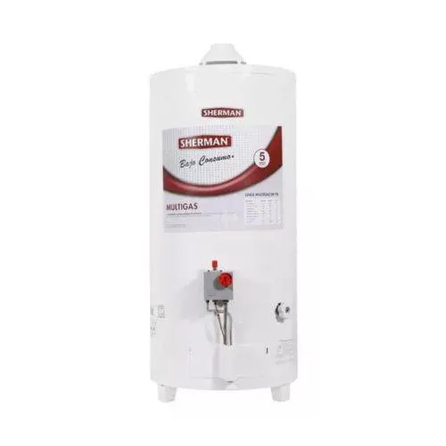Termotanque Sherman 80 Lts De Pie By Rheem Superior