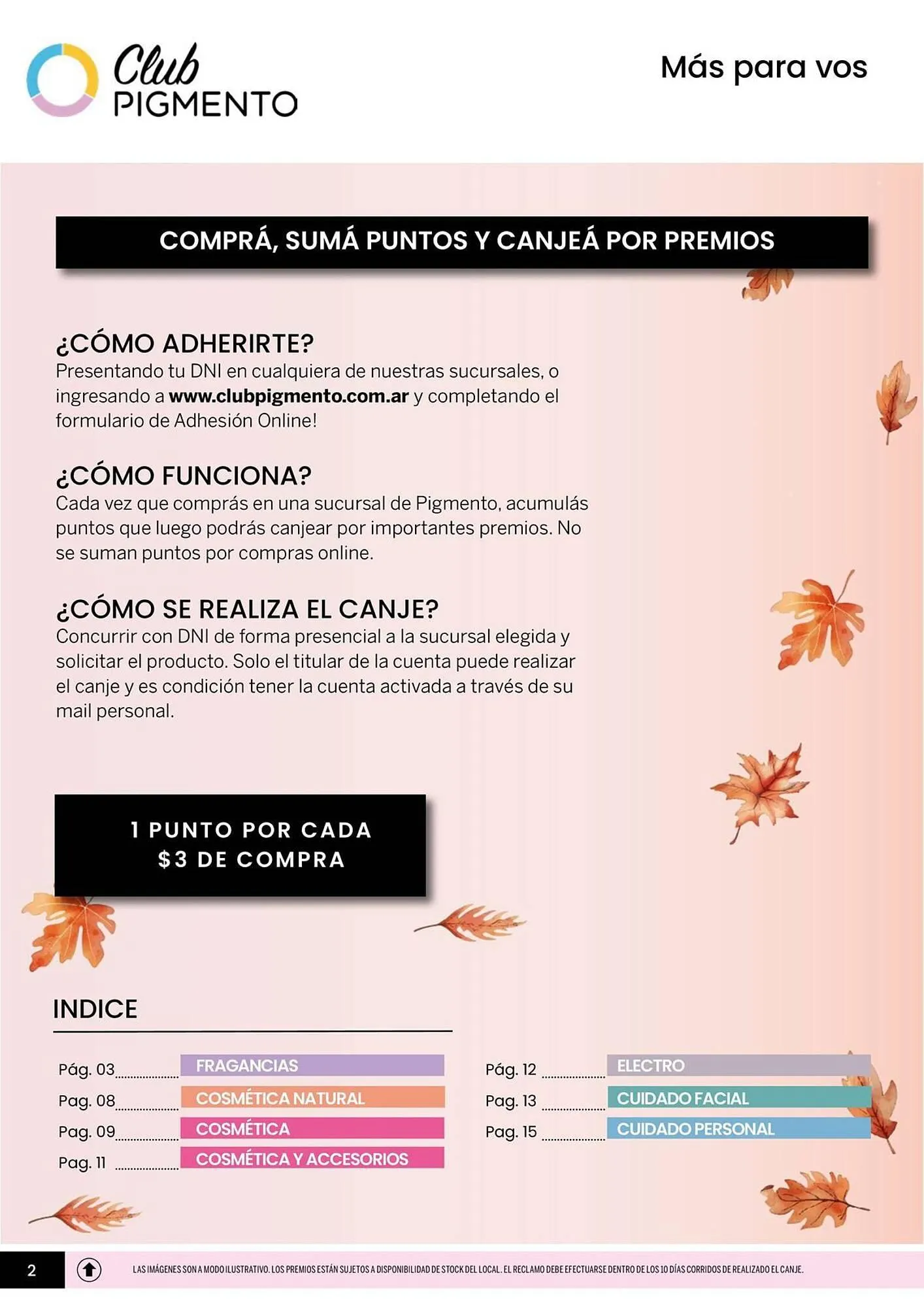 Ofertas de Catálogo Pigmento 8 de mayo al 31 de mayo 2025 - Página 2 del catálogo