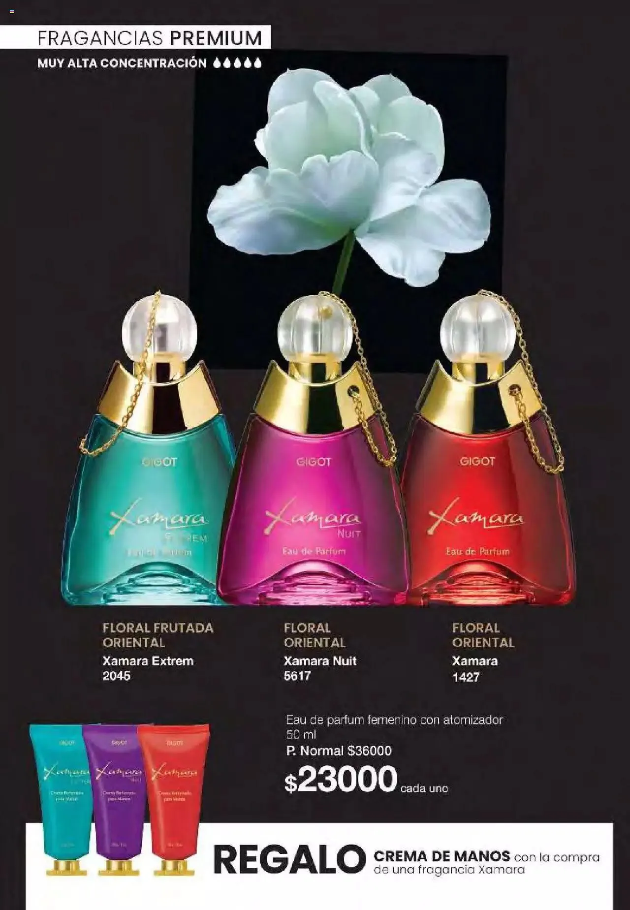 Ofertas de Gigot folleto 6 12 de marzo al 31 de diciembre 2024 - Página 34 del catálogo