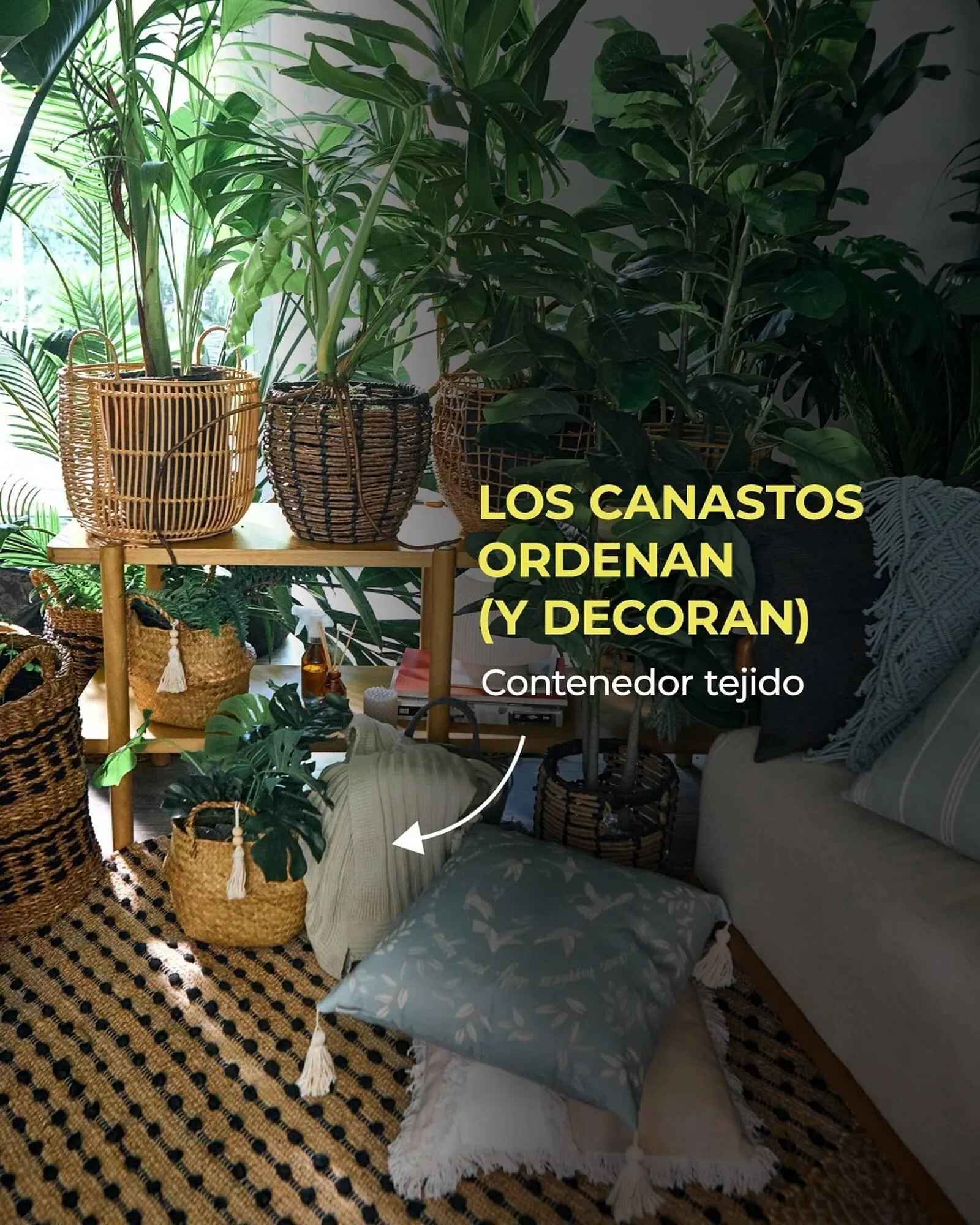 Ofertas de Catálogo Arredo 21 de mayo al 31 de mayo 2025 - Página 4 del catálogo