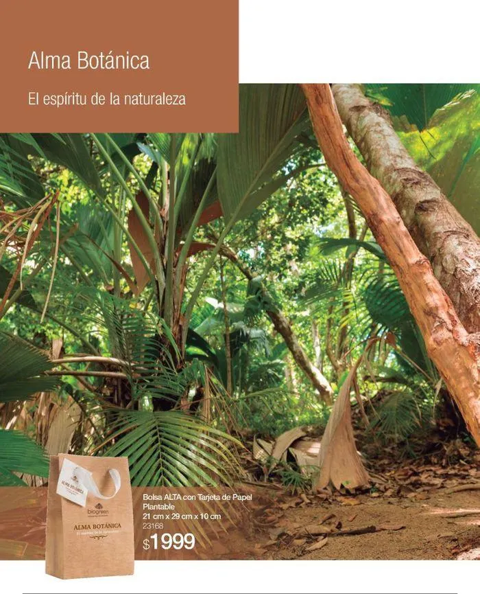 Ofertas de Catálogo de productos Biogreen! 27 de agosto al 11 de septiembre 2024 - Página 16 del catálogo