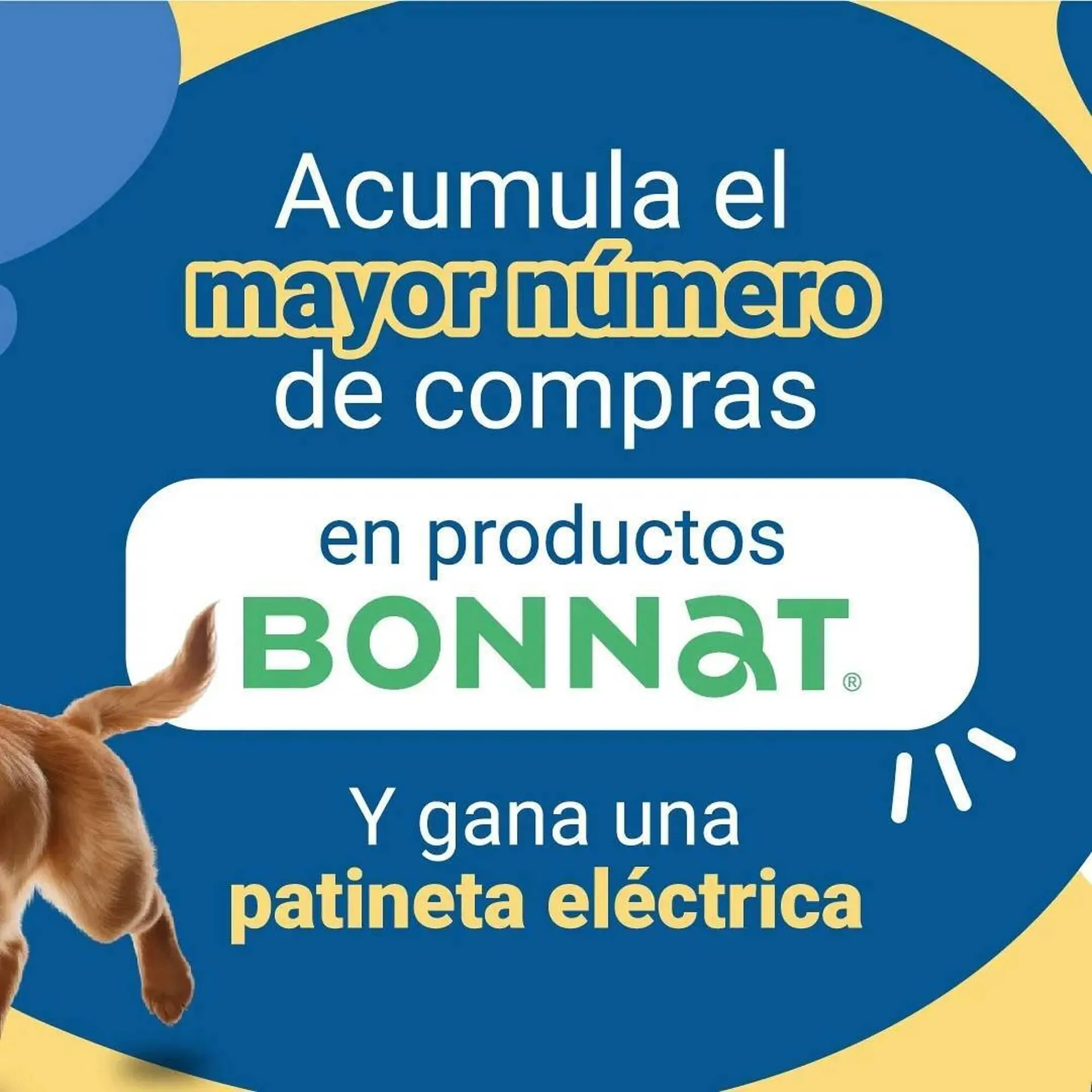 Ofertas de Catálogo Puppis 20 de septiembre al 24 de noviembre 2024 - Página 2 del catálogo