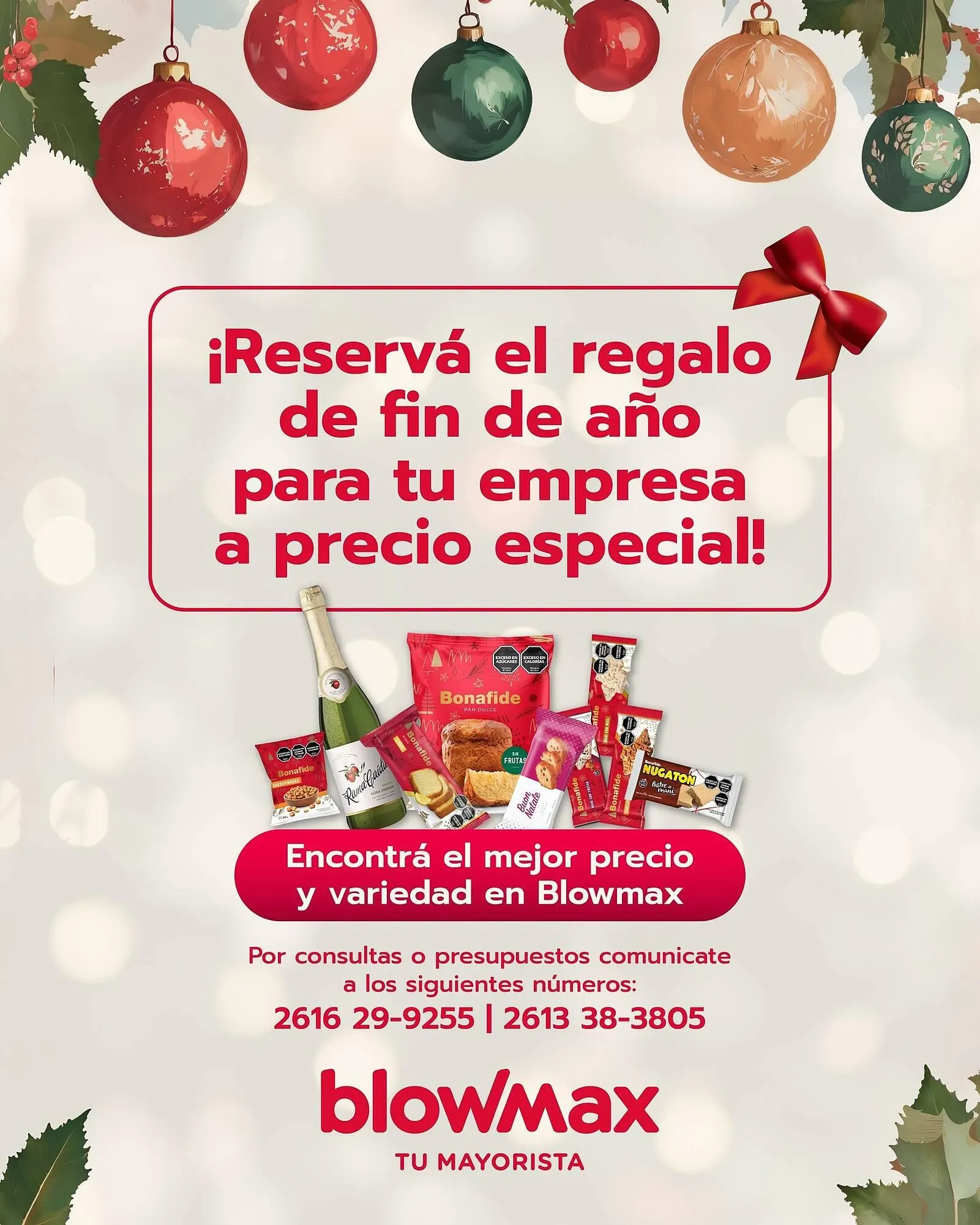 Catálogo Blow Max - 1