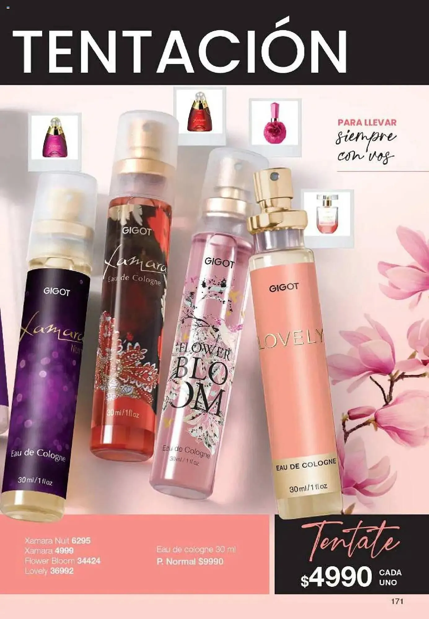 Ofertas de Catálogo Gigot 7 de abril al 20 de abril 2025 - Página 343 del catálogo