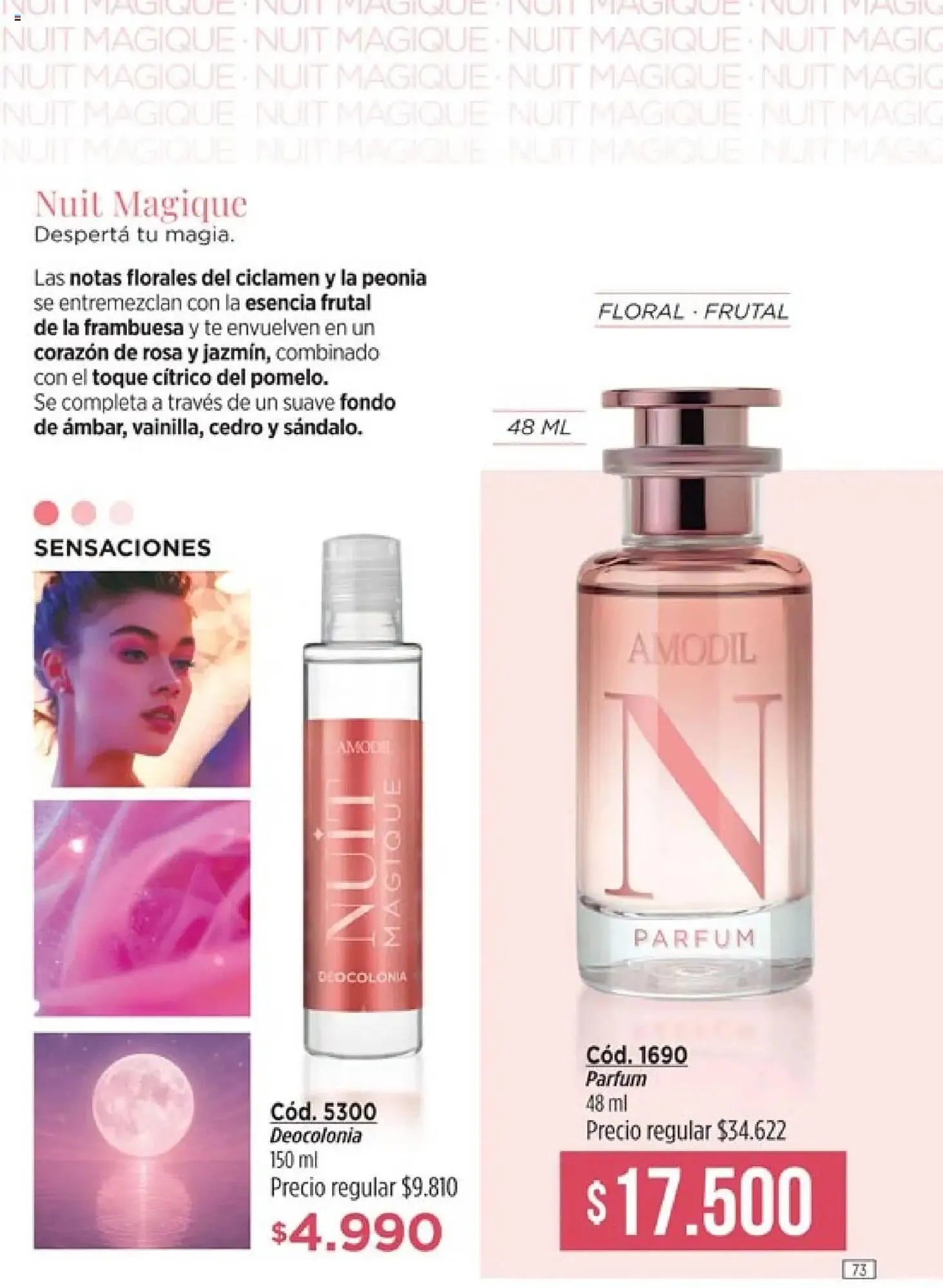 Ofertas de Catálogo Amodil 13 de junio al 27 de junio 2025 - Página 75 del catálogo