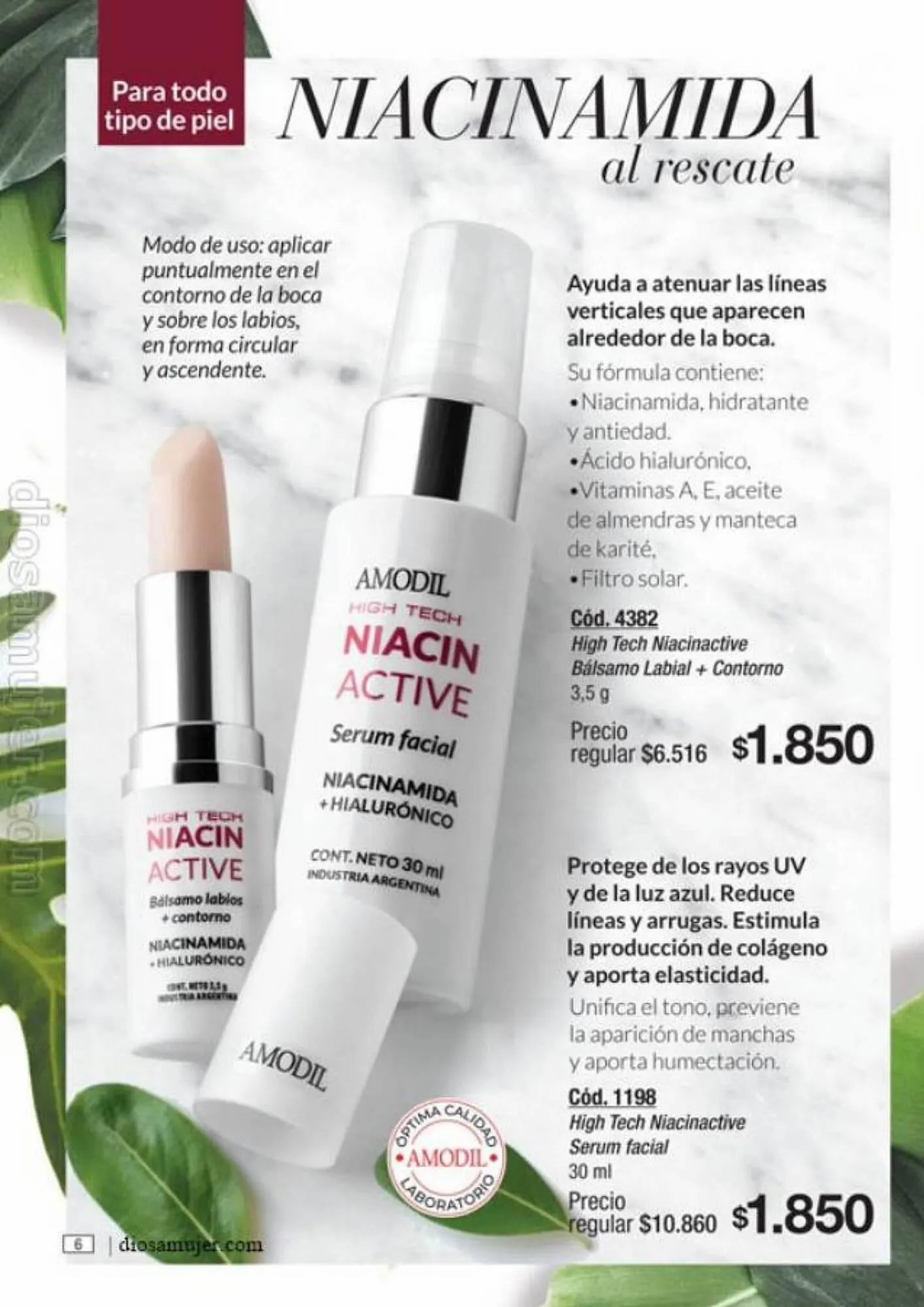 Ofertas de Catálogo Amodil 6 de septiembre al 10 de octubre 2023 - Página 6 del catálogo