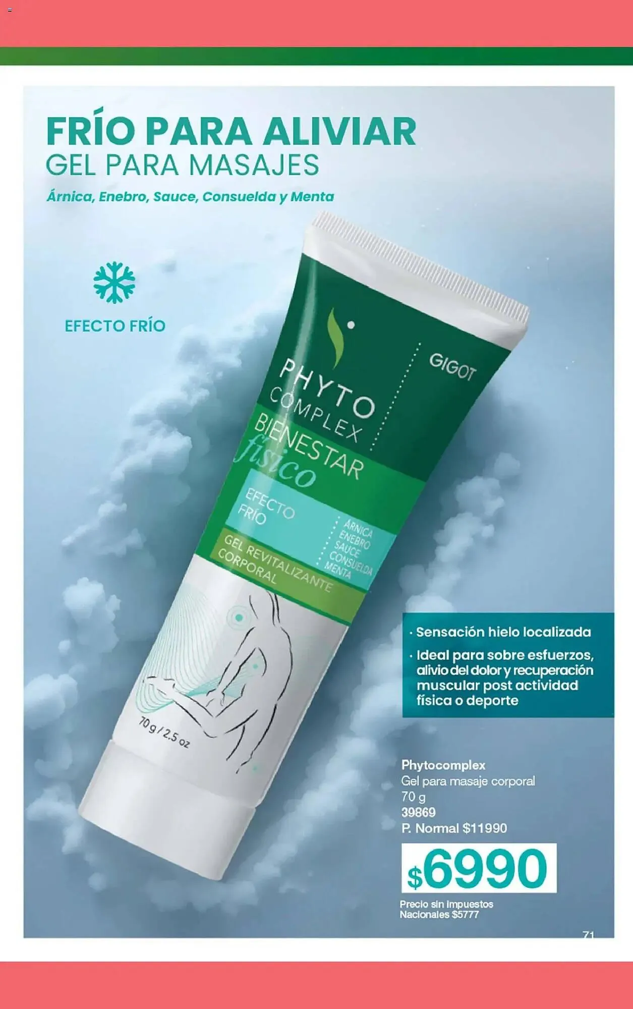 Ofertas de Folleto Gigot 19 de noviembre al 31 de enero 2026 - Página 83 del catálogo