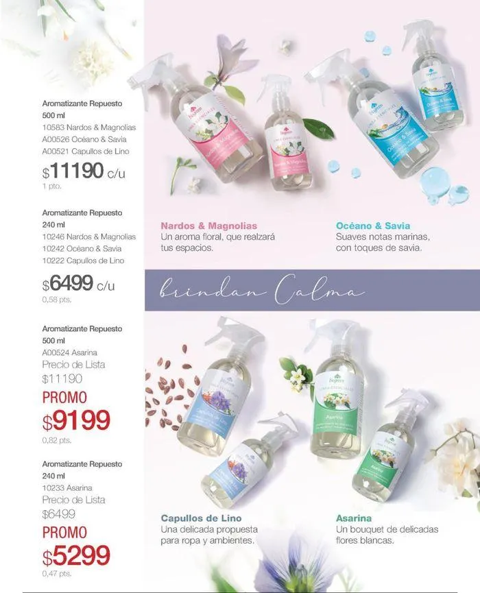 Ofertas de Catálogo de productos Biogreen! 27 de agosto al 11 de septiembre 2024 - Página 13 del catálogo