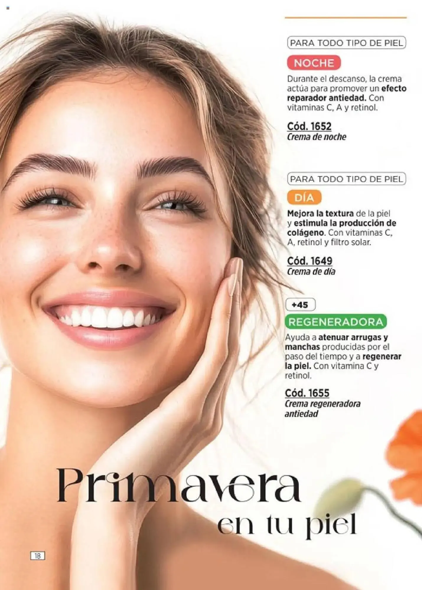 Ofertas de Catálogo Amodil 18 de julio al 31 de julio 2025 - Página 18 del catálogo