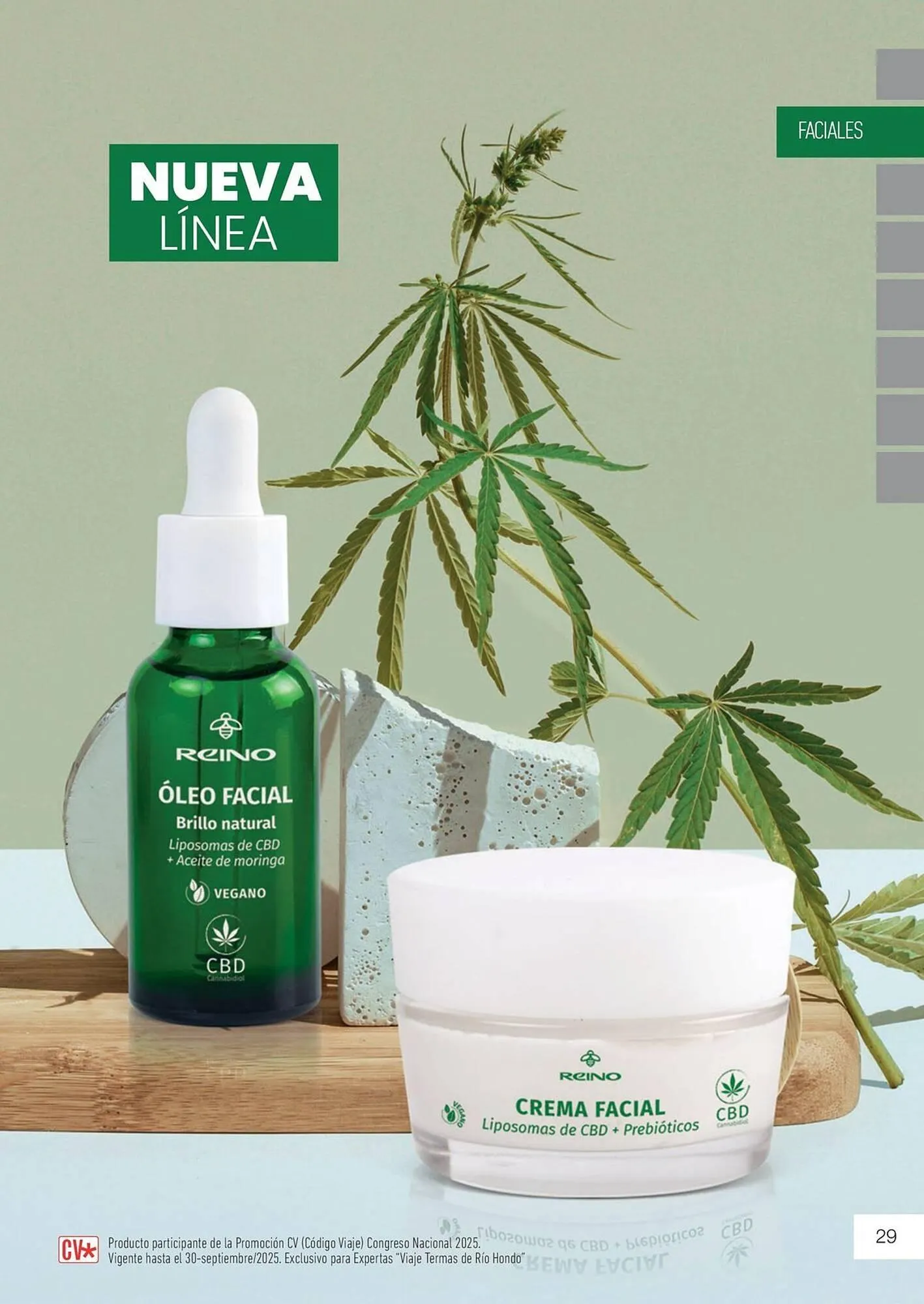 Ofertas de Catálogo Reino Cosmética 8 de mayo al 31 de mayo 2025 - Página 31 del catálogo