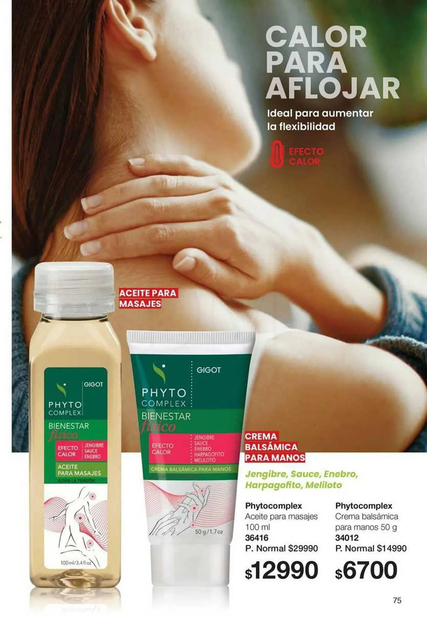 Ofertas de Catálogo Gigot 1 de noviembre al 30 de noviembre 2025 - Página 53 del catálogo