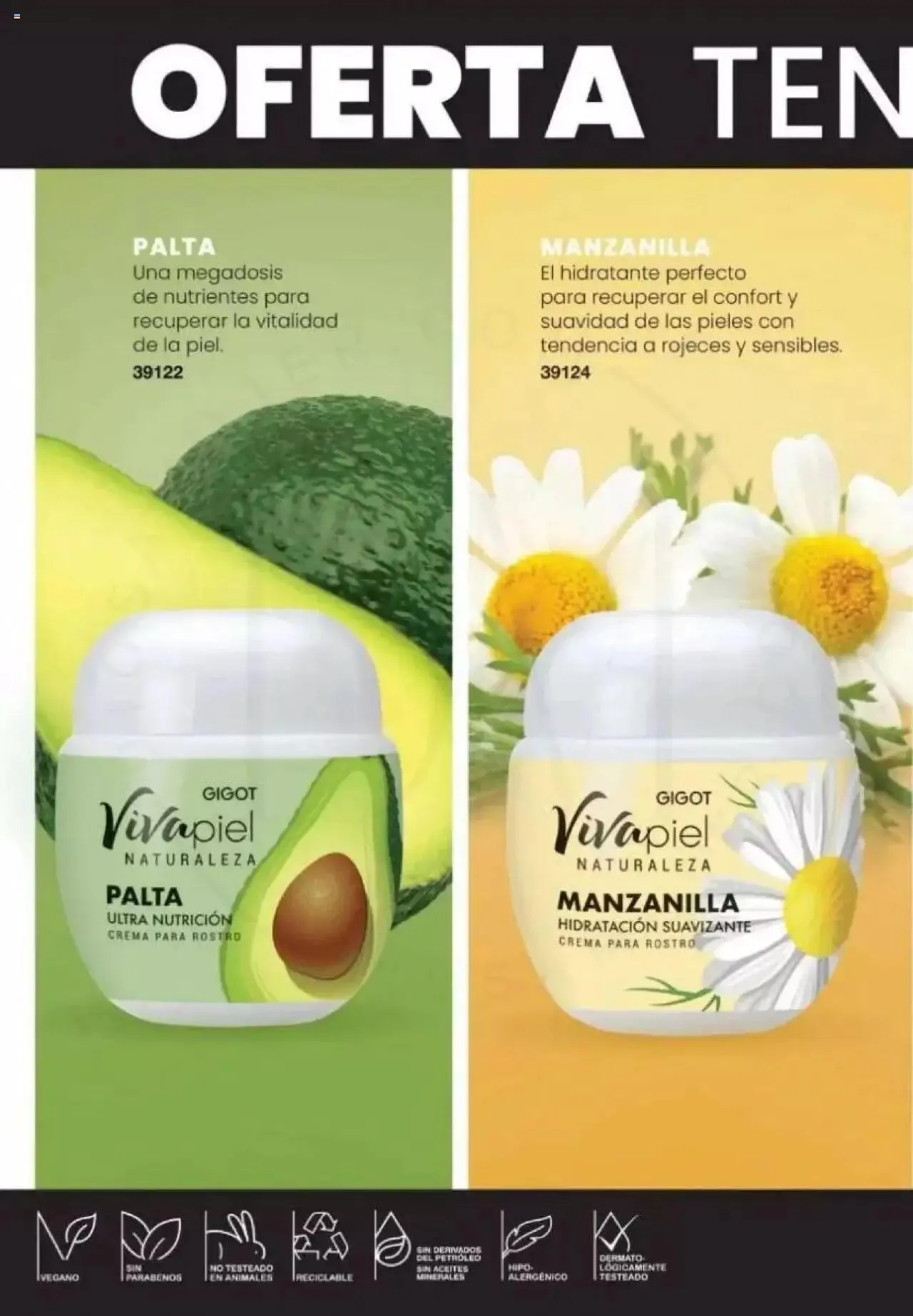 Ofertas de Gigot catálogo 2 de abril al 31 de diciembre 2024 - Página 62 del catálogo