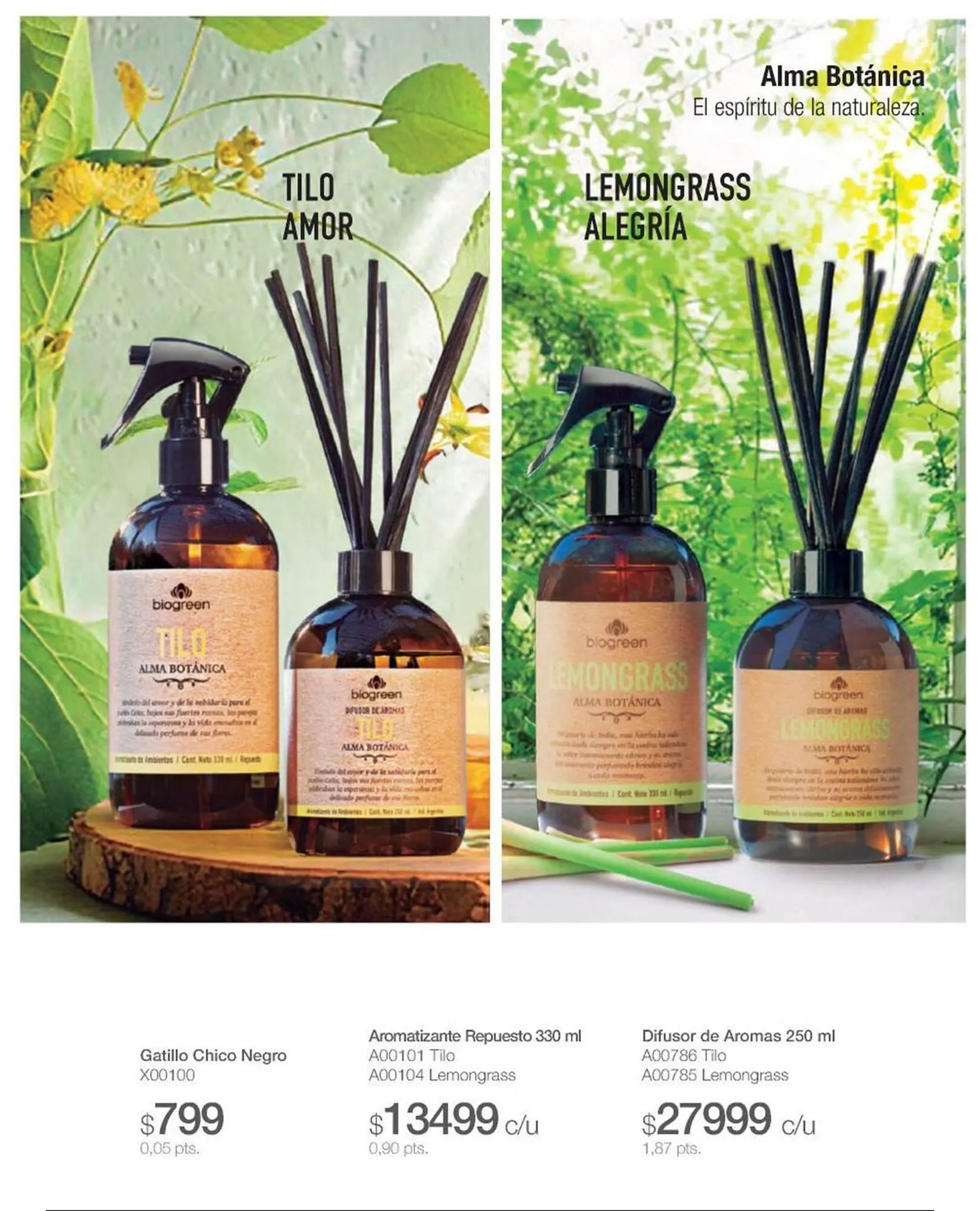 Ofertas de Catálogo Biogreen 28 de julio al 10 de agosto 2025 - Página 17 del catálogo