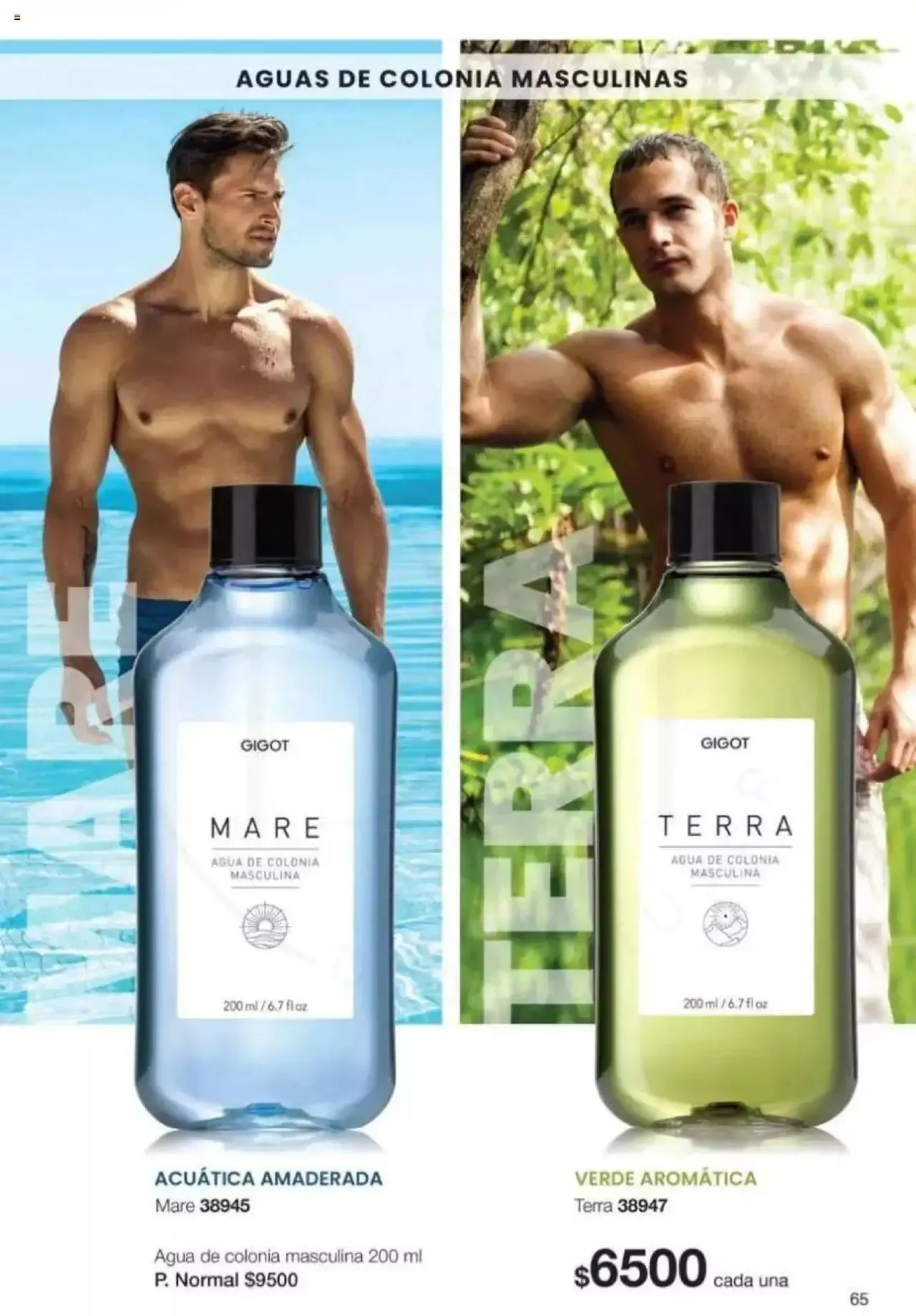 Ofertas de Gigot catálogo 2 de abril al 31 de diciembre 2024 - Página 65 del catálogo