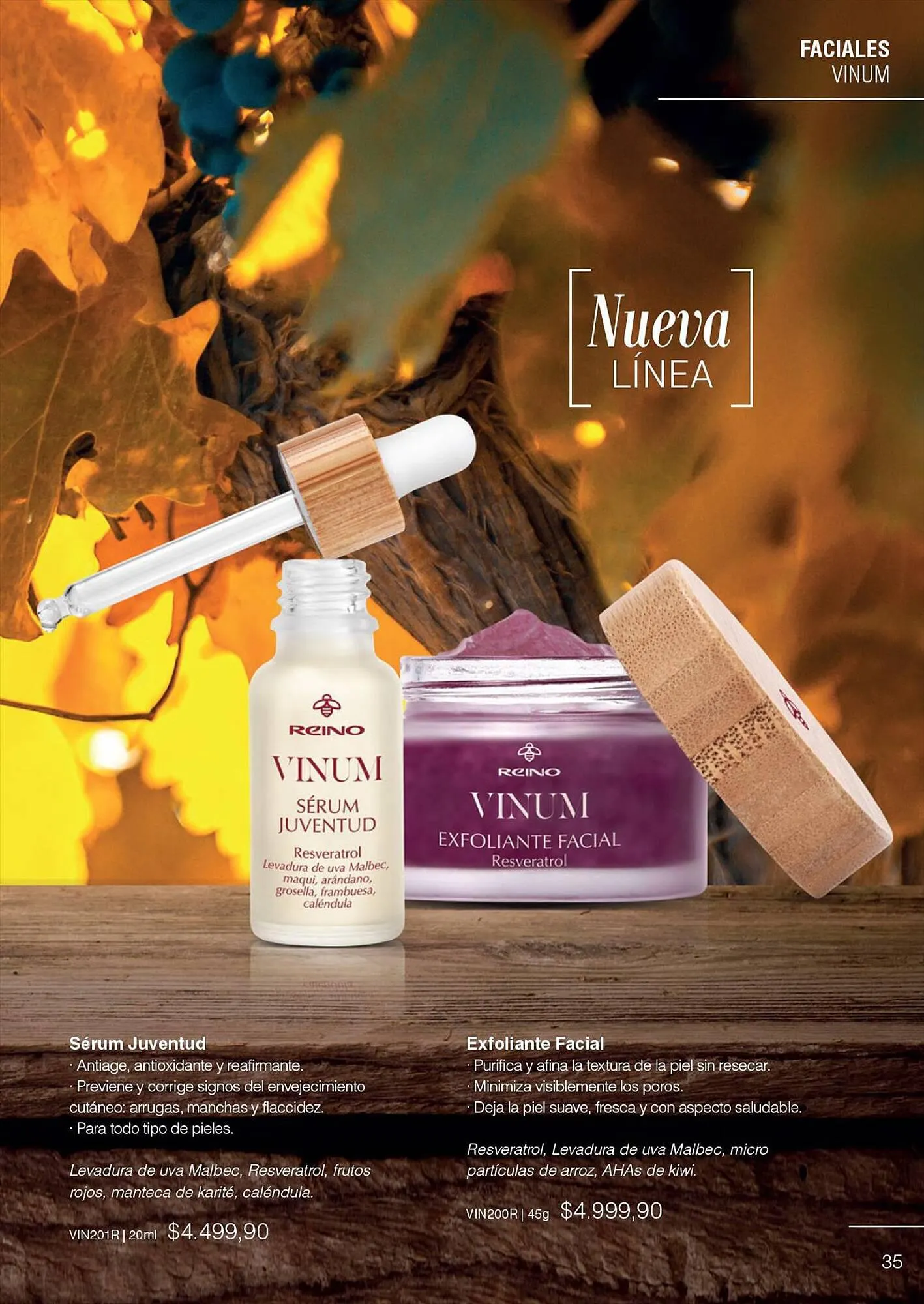 Ofertas de Catálogo Reino Cosmética 28 de julio al 31 de julio 2023 - Página 37 del catálogo