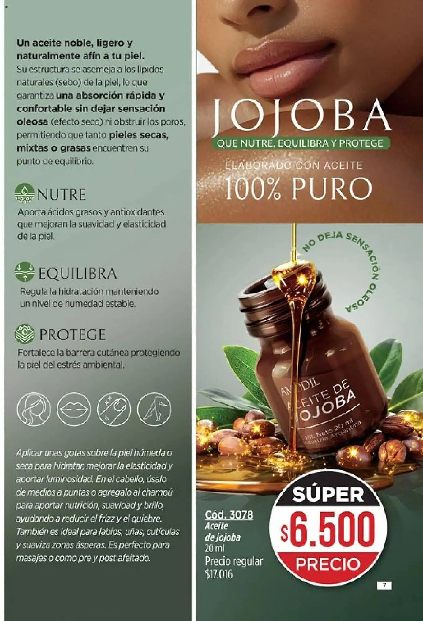 Ofertas de Catálogo Amodil 12 de febrero al 31 de marzo 2026 - Página 7 del catálogo