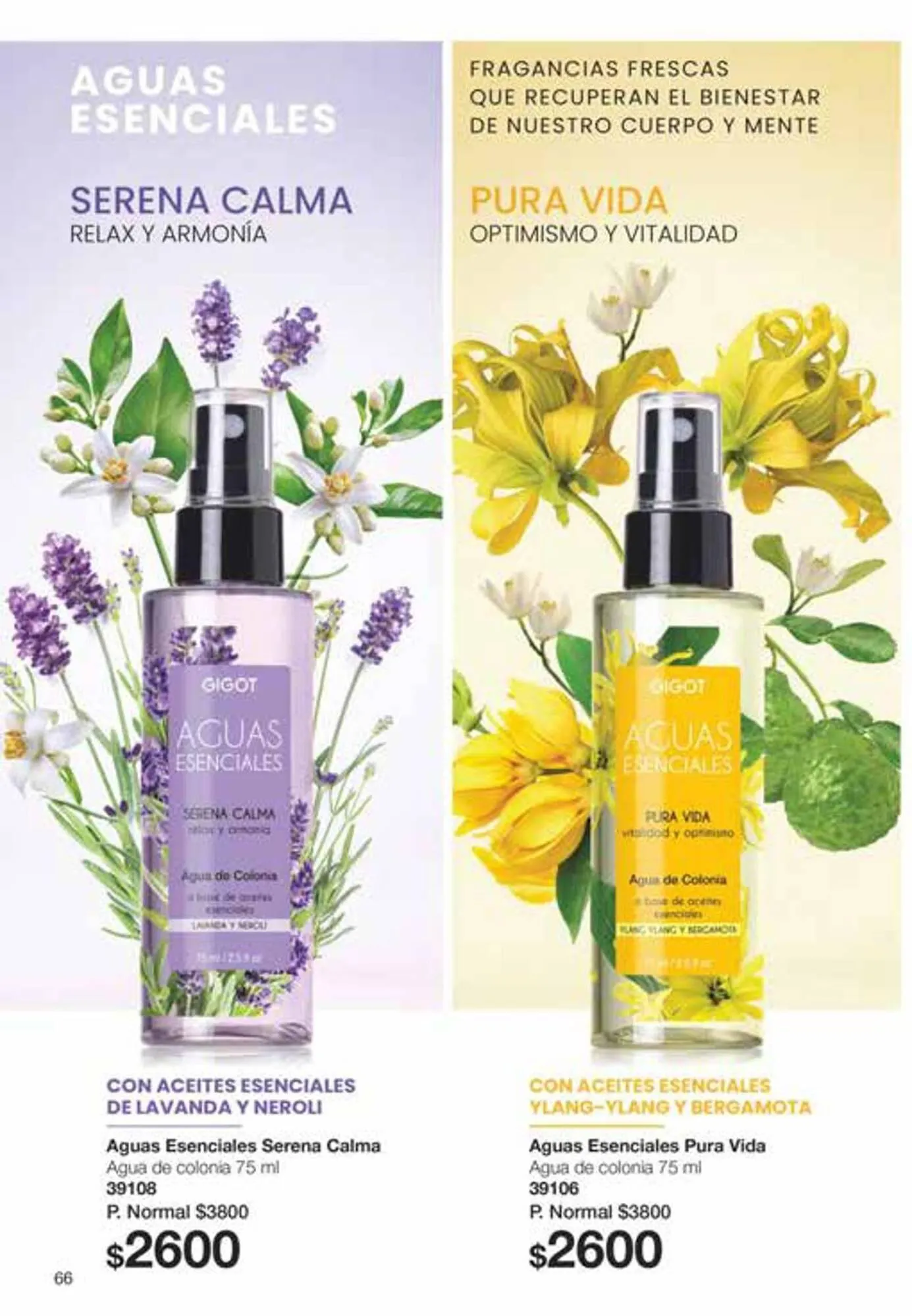 Ofertas de Catálogo Gigot 30 de octubre al 30 de noviembre 2023 - Página 66 del catálogo