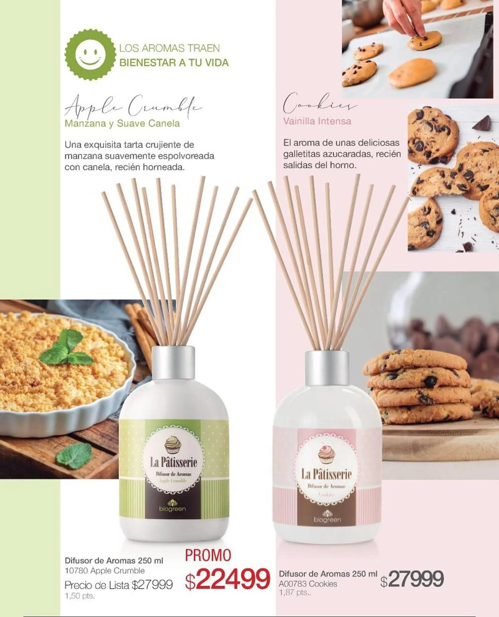 Ofertas de Catálogo Biogreen 28 de julio al 10 de agosto 2025 - Página 41 del catálogo