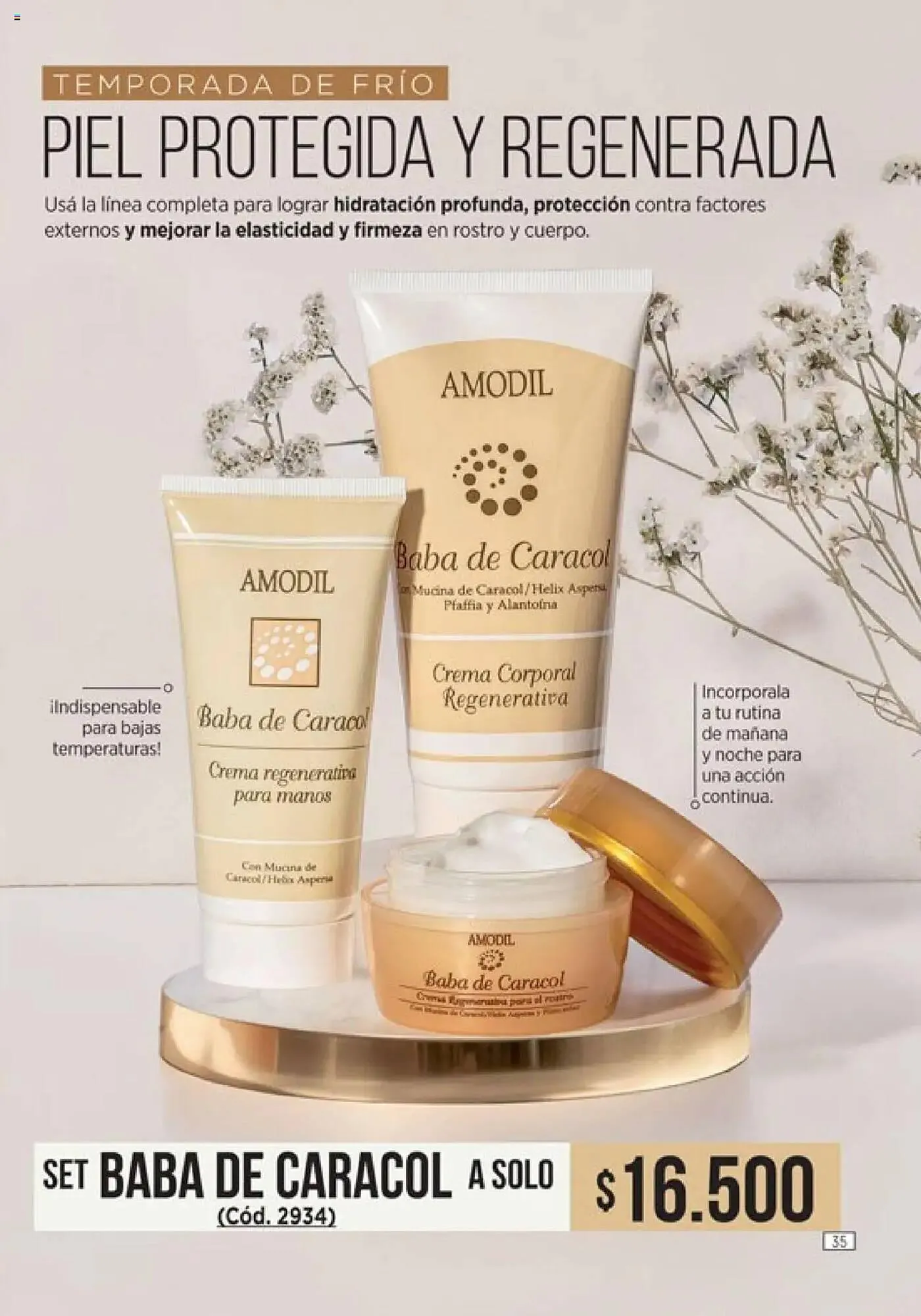 Ofertas de Catálogo Amodil 24 de marzo al 6 de abril 2025 - Página 35 del catálogo