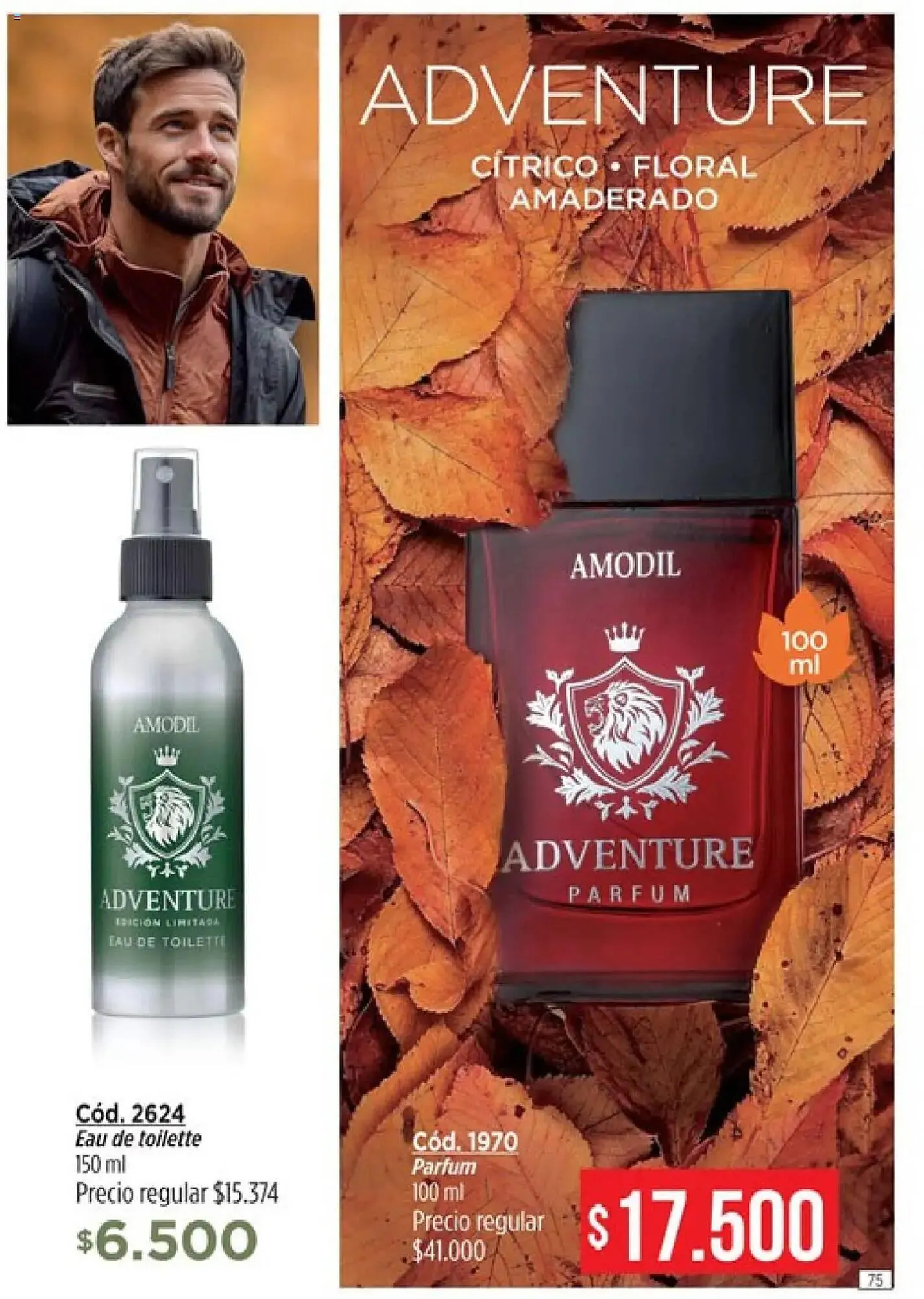 Ofertas de Catálogo Amodil 28 de febrero al 13 de marzo 2025 - Página 75 del catálogo