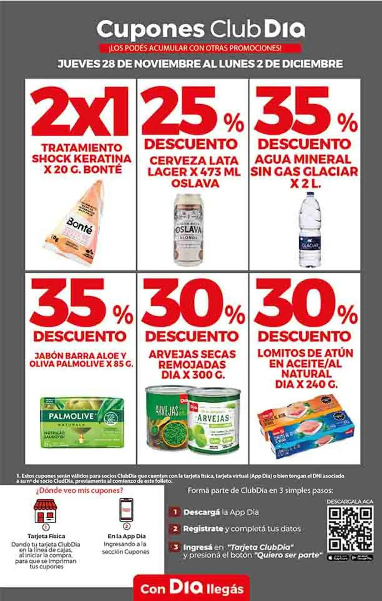 Ofertas de Catálogo Supermercados DIA 28 de noviembre al 12 de diciembre 2024 - Página 11 del catálogo