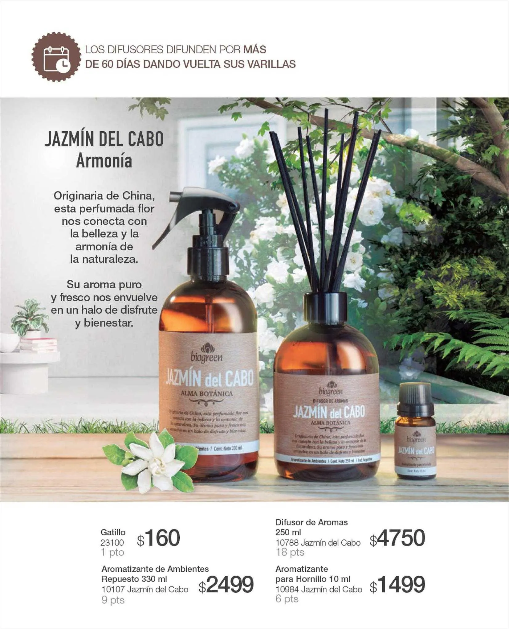 Ofertas de Catálogo Biogreen 17 de agosto al 31 de agosto 2023 - Página 40 del catálogo