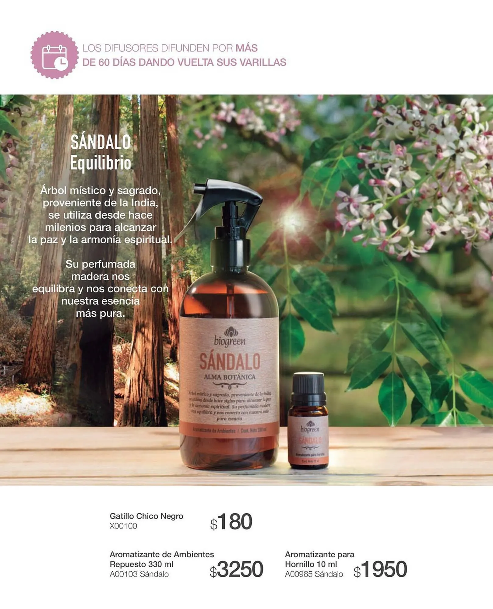 Ofertas de Catálogo Biogreen 20 de octubre al 30 de noviembre 2023 - Página 34 del catálogo