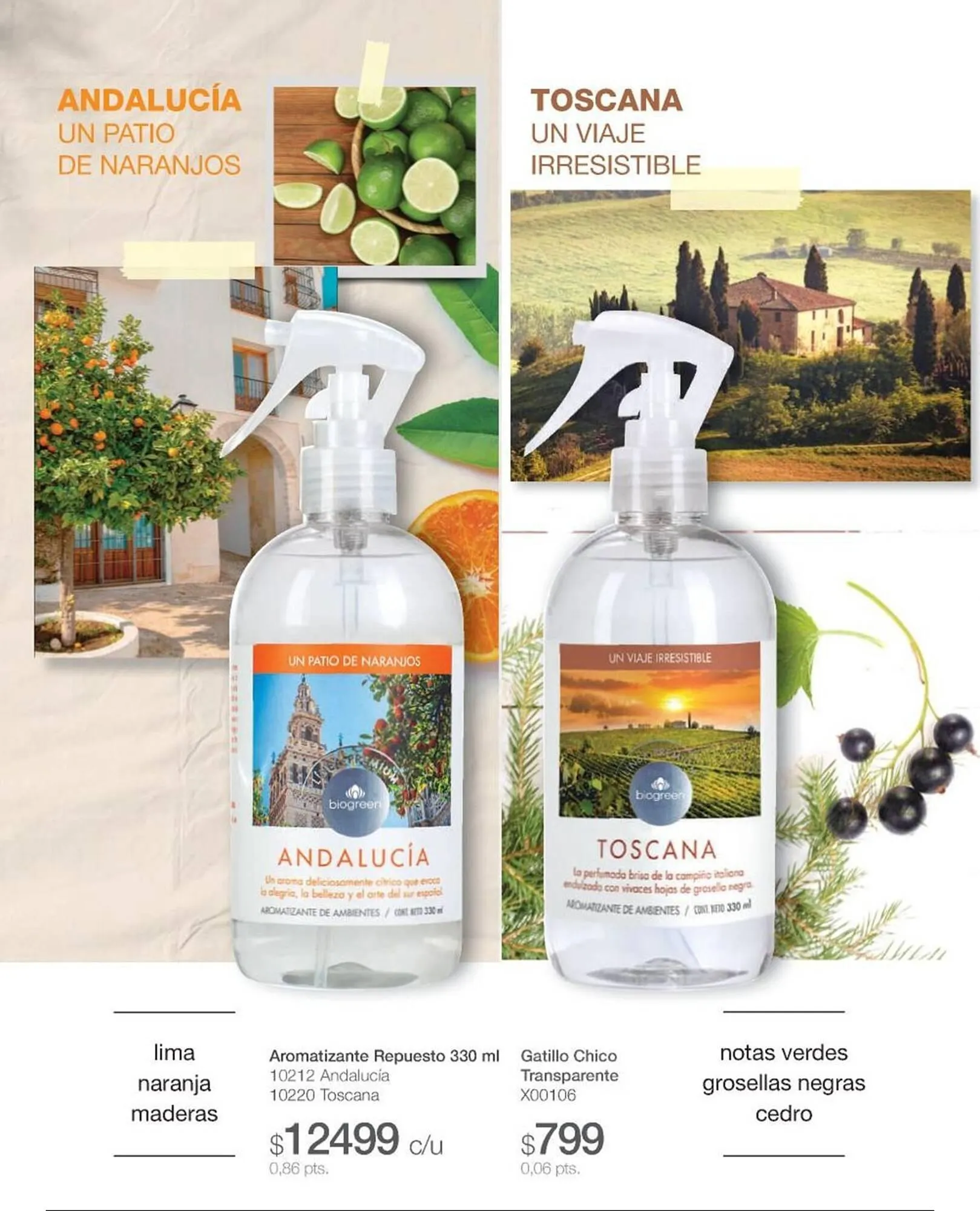 Ofertas de Catálogo Biogreen 15 de mayo al 31 de mayo 2025 - Página 22 del catálogo