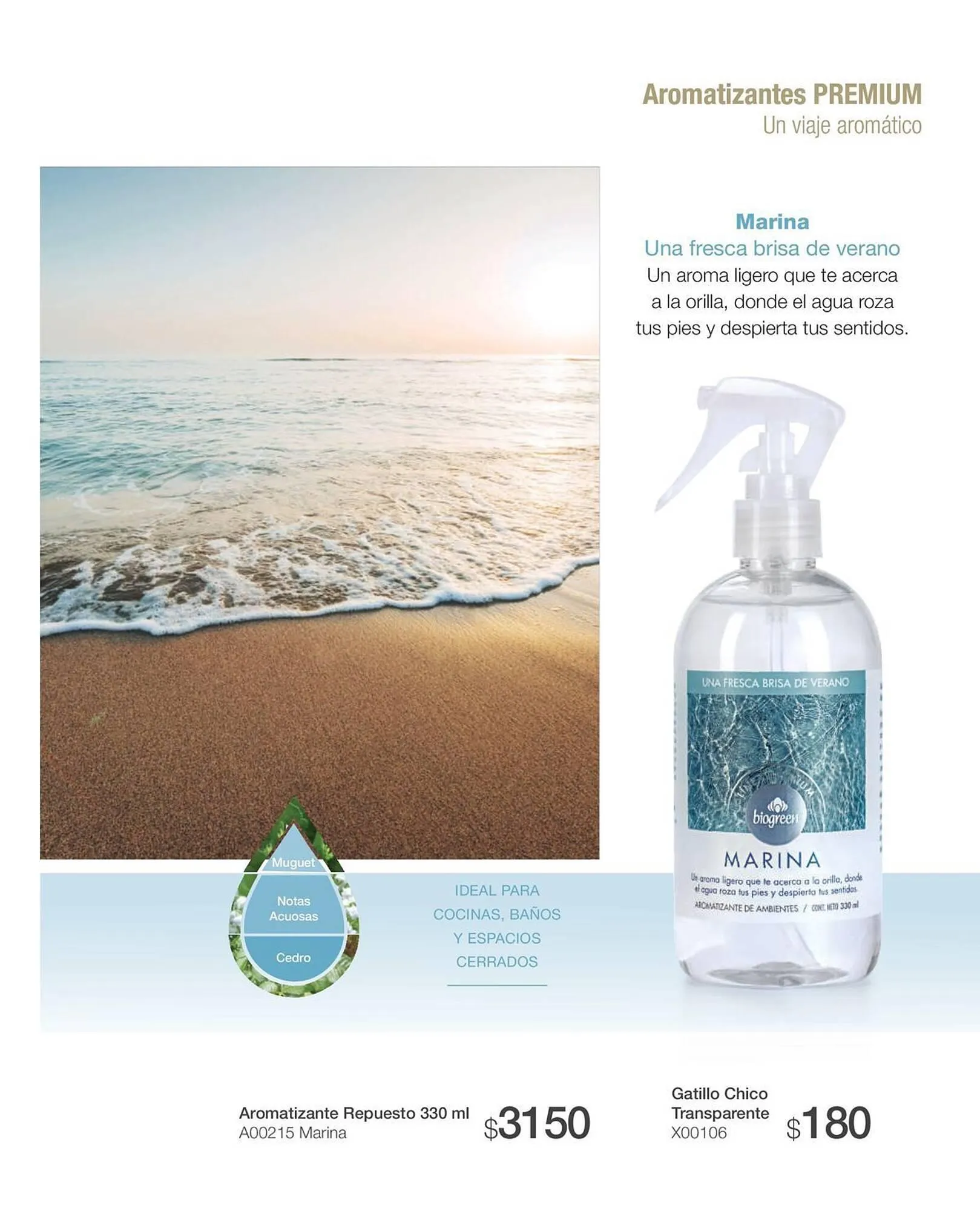 Ofertas de Catálogo Biogreen 20 de octubre al 30 de noviembre 2023 - Página 41 del catálogo