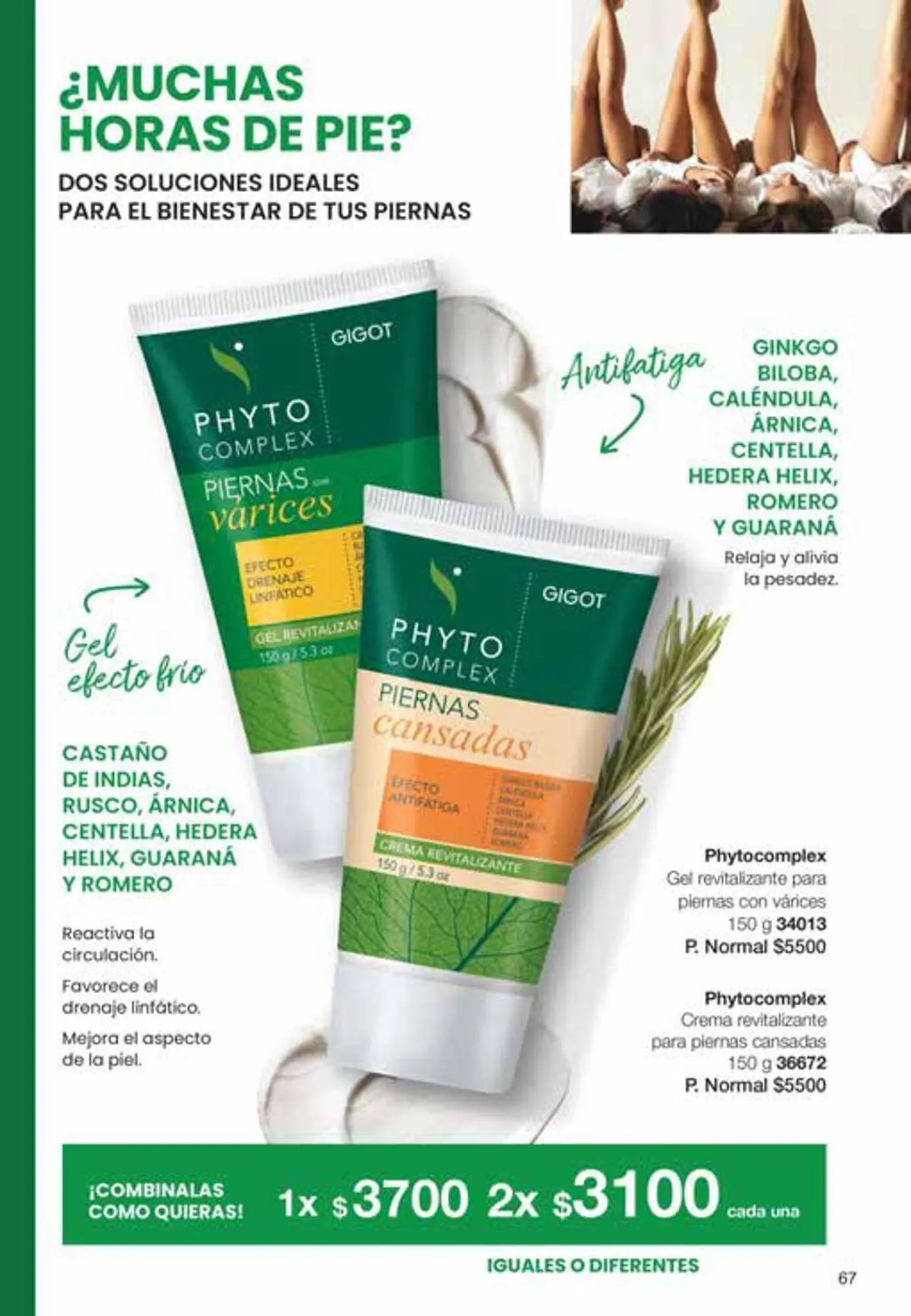 Ofertas de Catálogo Gigot 1 de diciembre al 31 de enero 2024 - Página 67 del catálogo