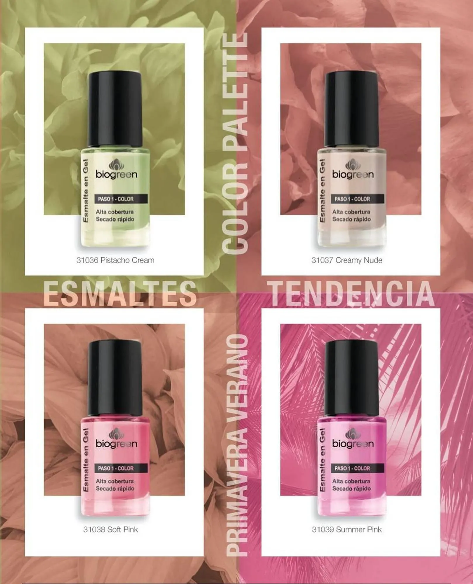 Ofertas de Catálogo Biogreen 4 de noviembre al 30 de noviembre 2025 - Página 81 del catálogo