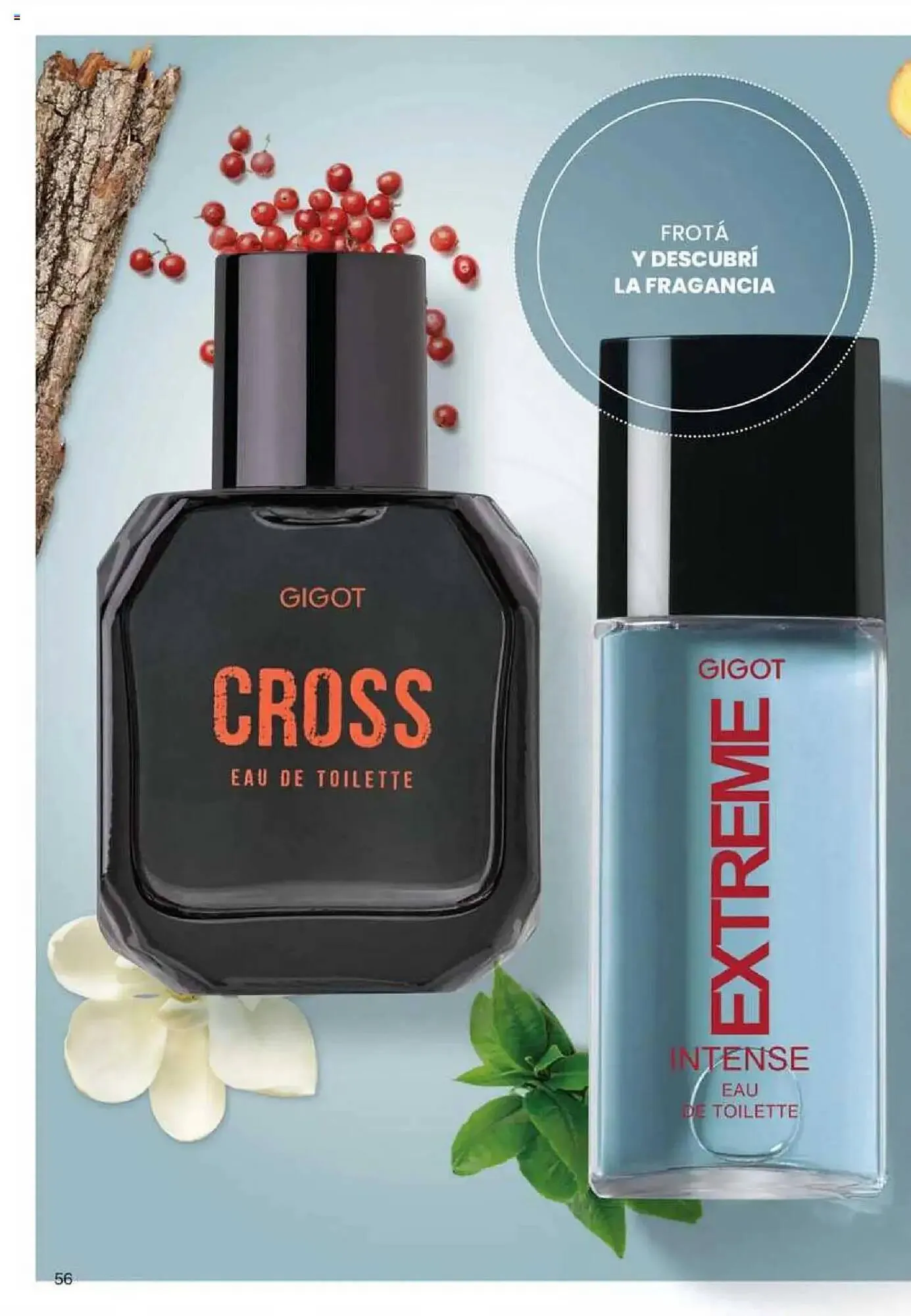 Ofertas de Catálogo Gigot 29 de mayo al 12 de junio 2025 - Página 68 del catálogo