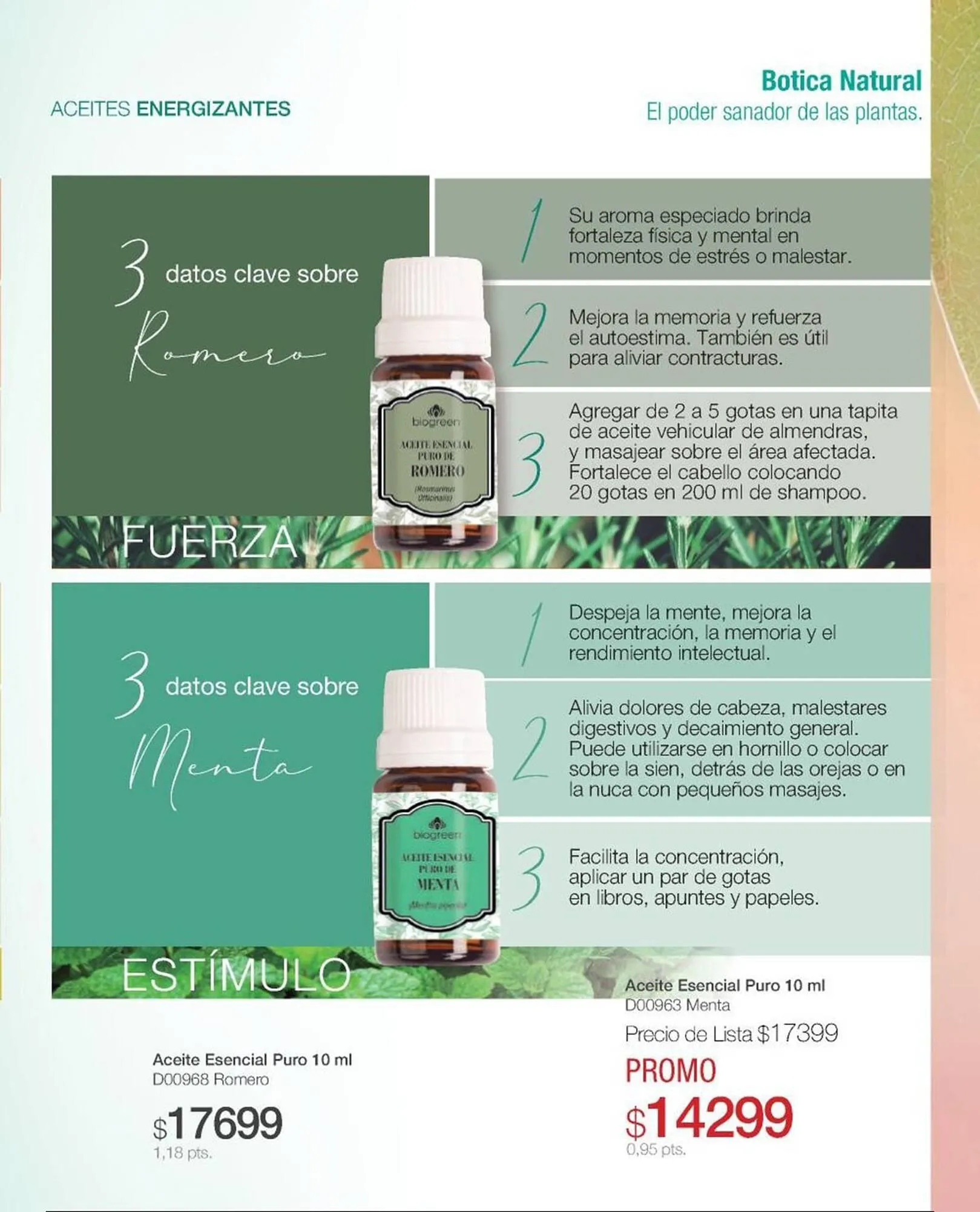 Ofertas de Catálogo Biogreen 28 de julio al 10 de agosto 2025 - Página 81 del catálogo