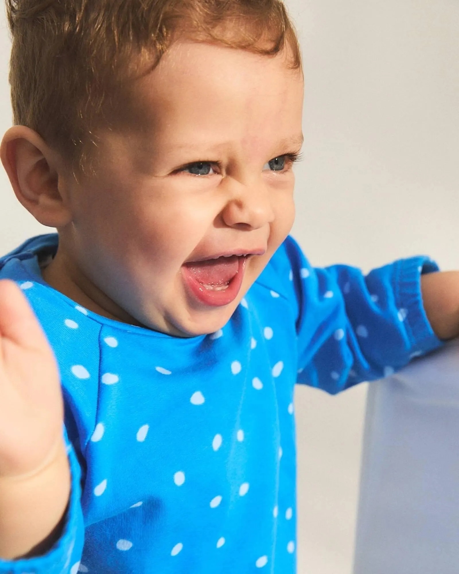 Catálogo Grisino - 1