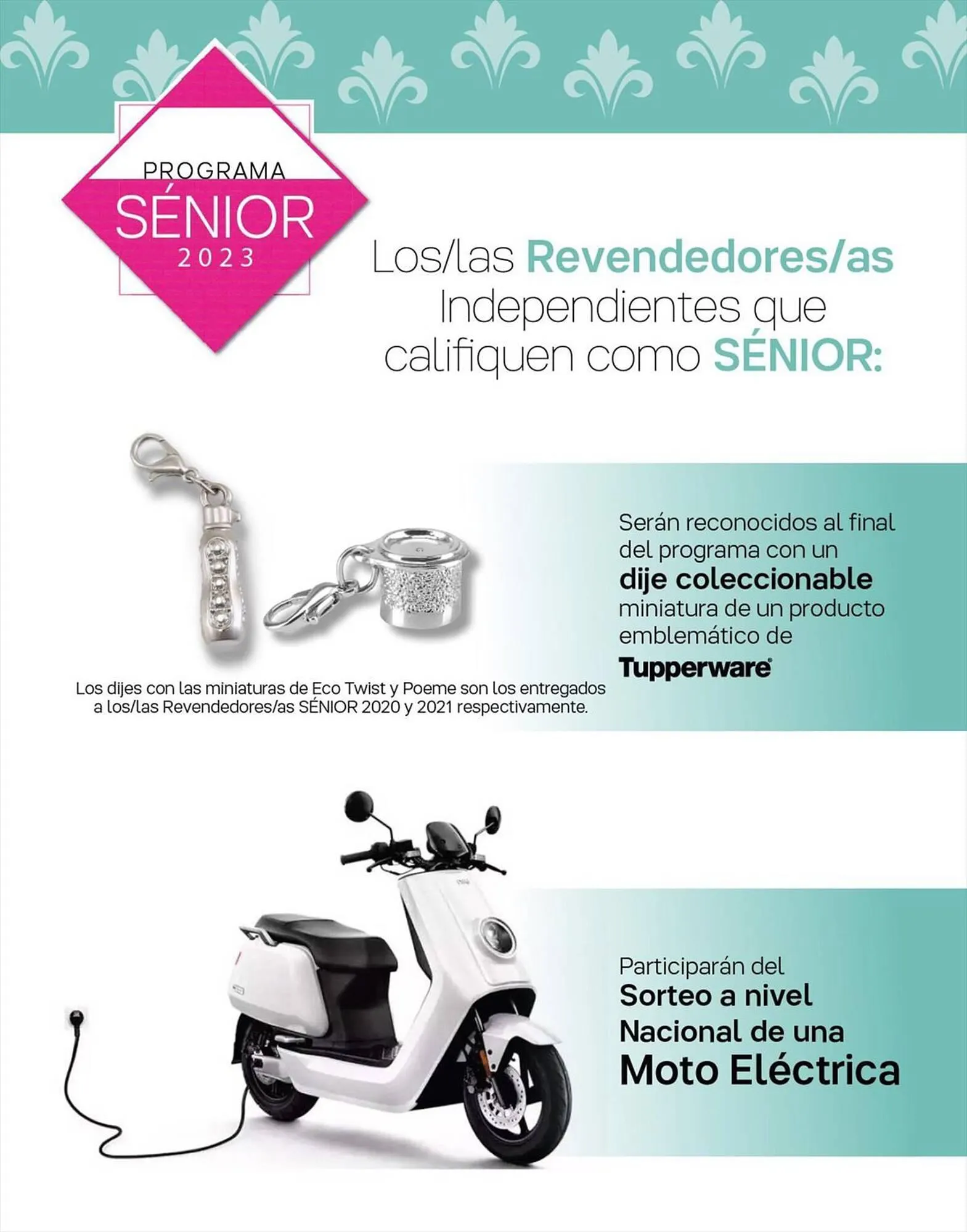 Ofertas de Catálogo Tupperware 30 de agosto al 16 de enero 2024 - Página 6 del catálogo