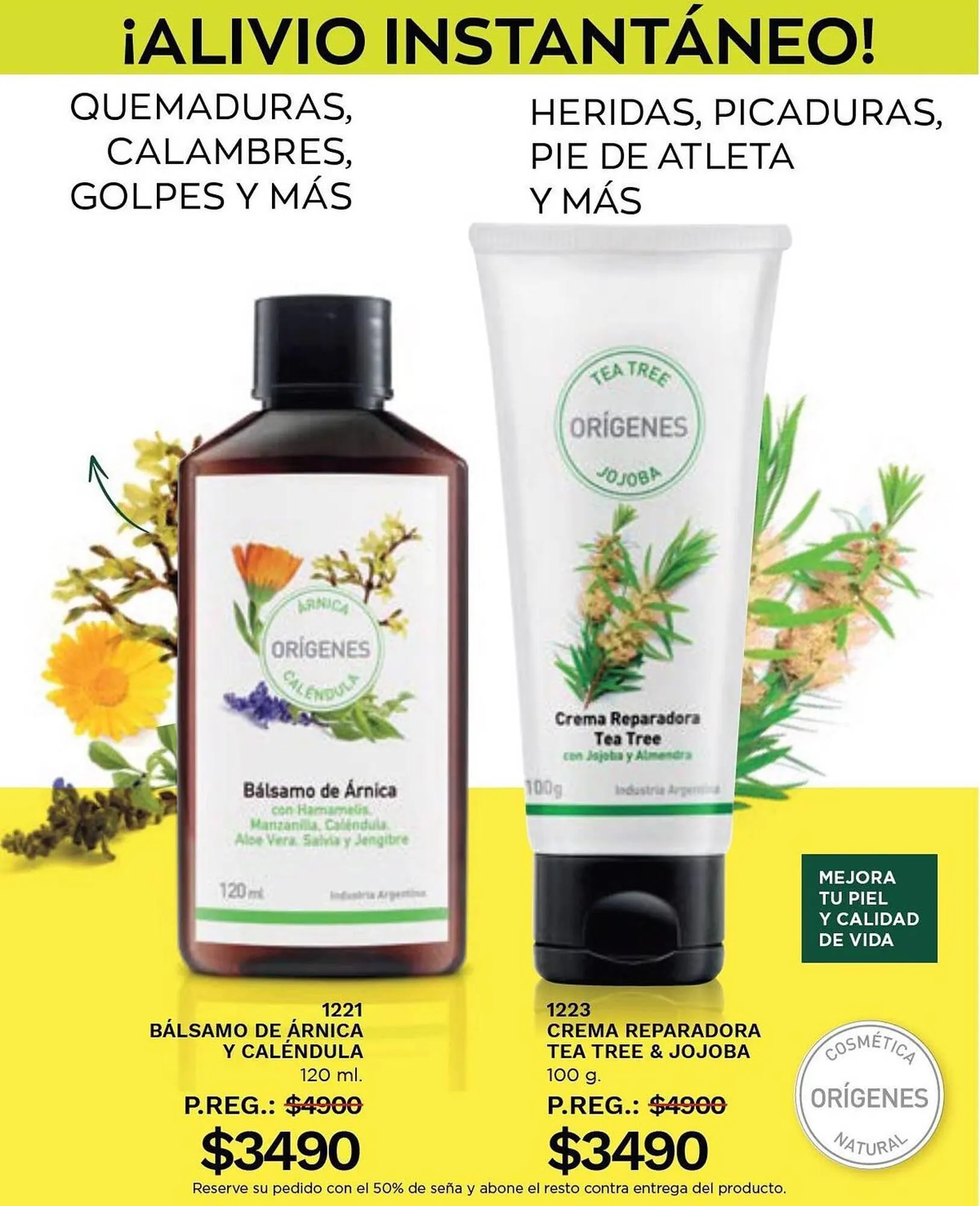 Ofertas de Catálogo Arbell 10 de noviembre al 4 de diciembre 2023 - Página 33 del catálogo