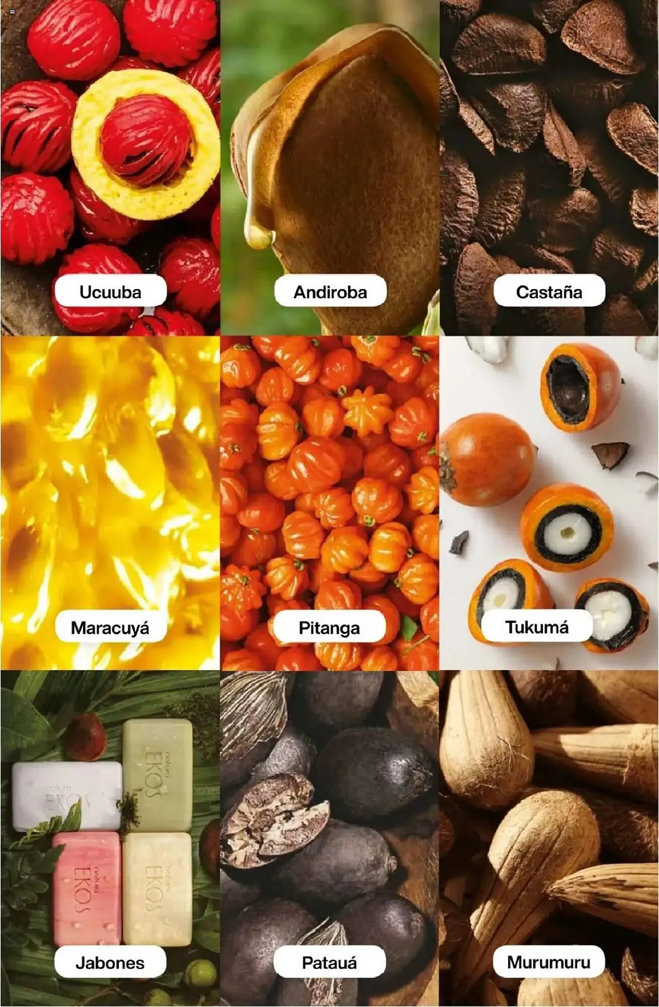 Ofertas de Catálogo Natura 1 de octubre al 31 de octubre 2025 - Página 170 del catálogo