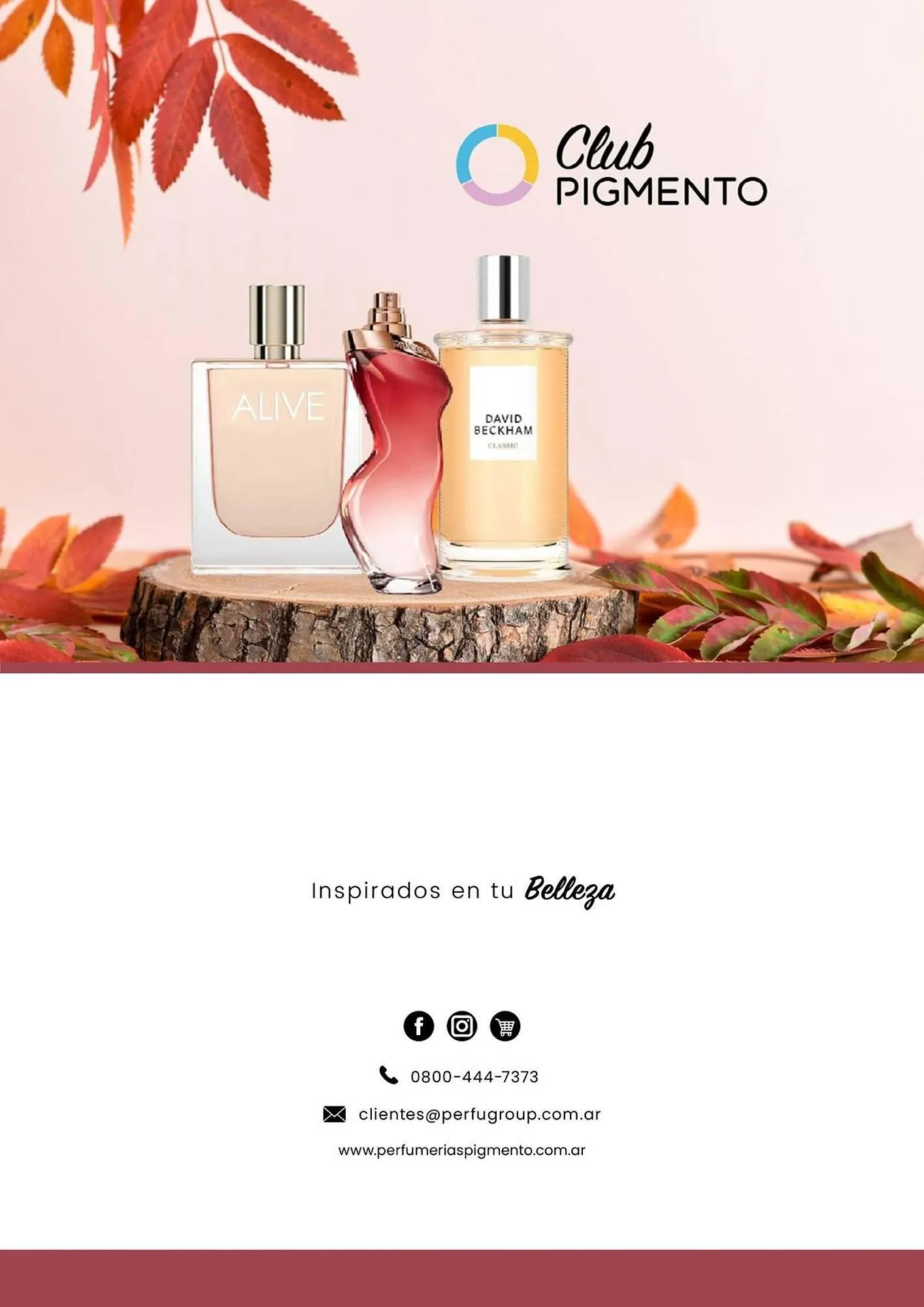 Ofertas de Catálogo Pigmento 8 de mayo al 31 de mayo 2025 - Página 16 del catálogo