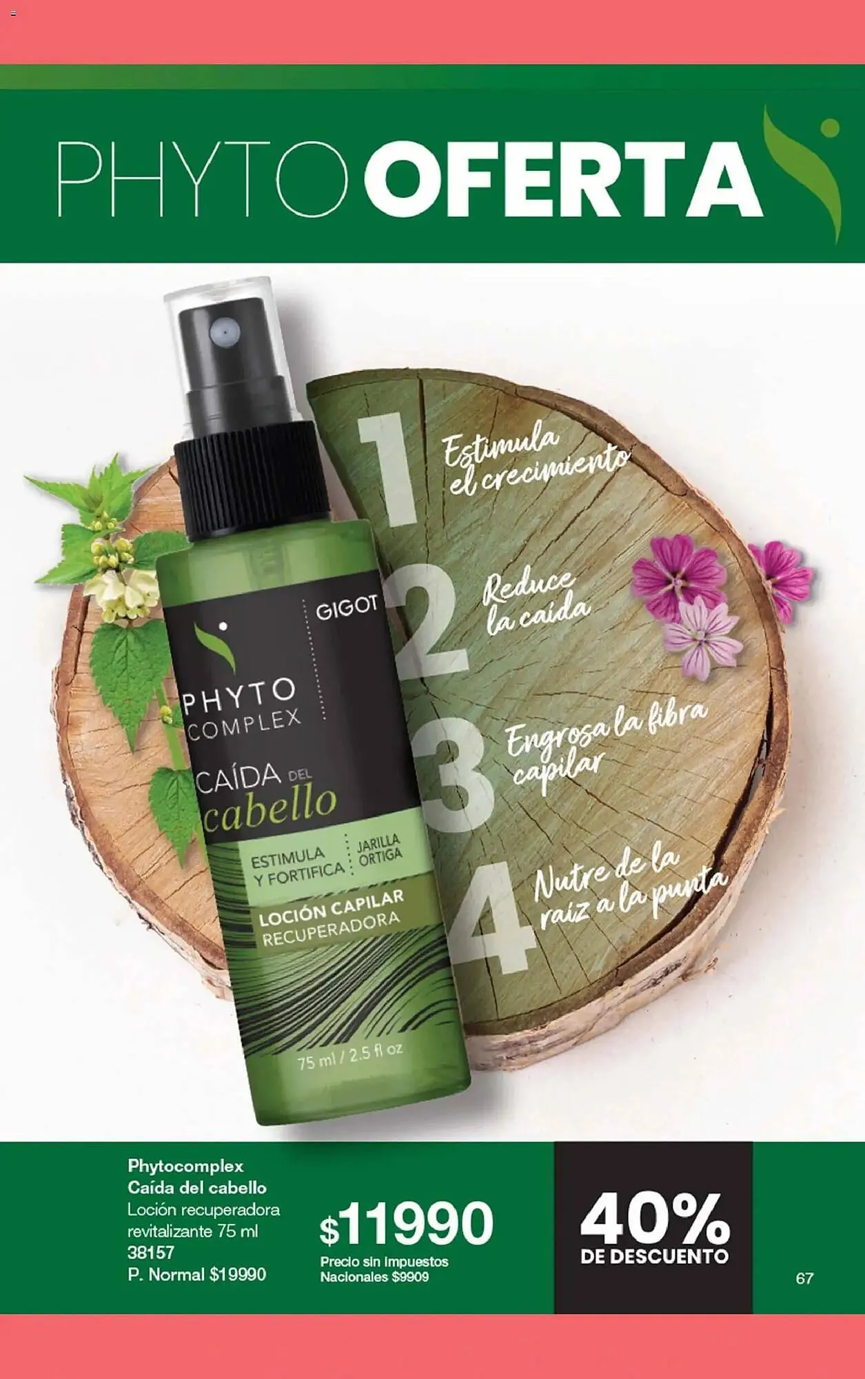 Ofertas de Folleto Gigot 19 de noviembre al 31 de enero 2026 - Página 79 del catálogo