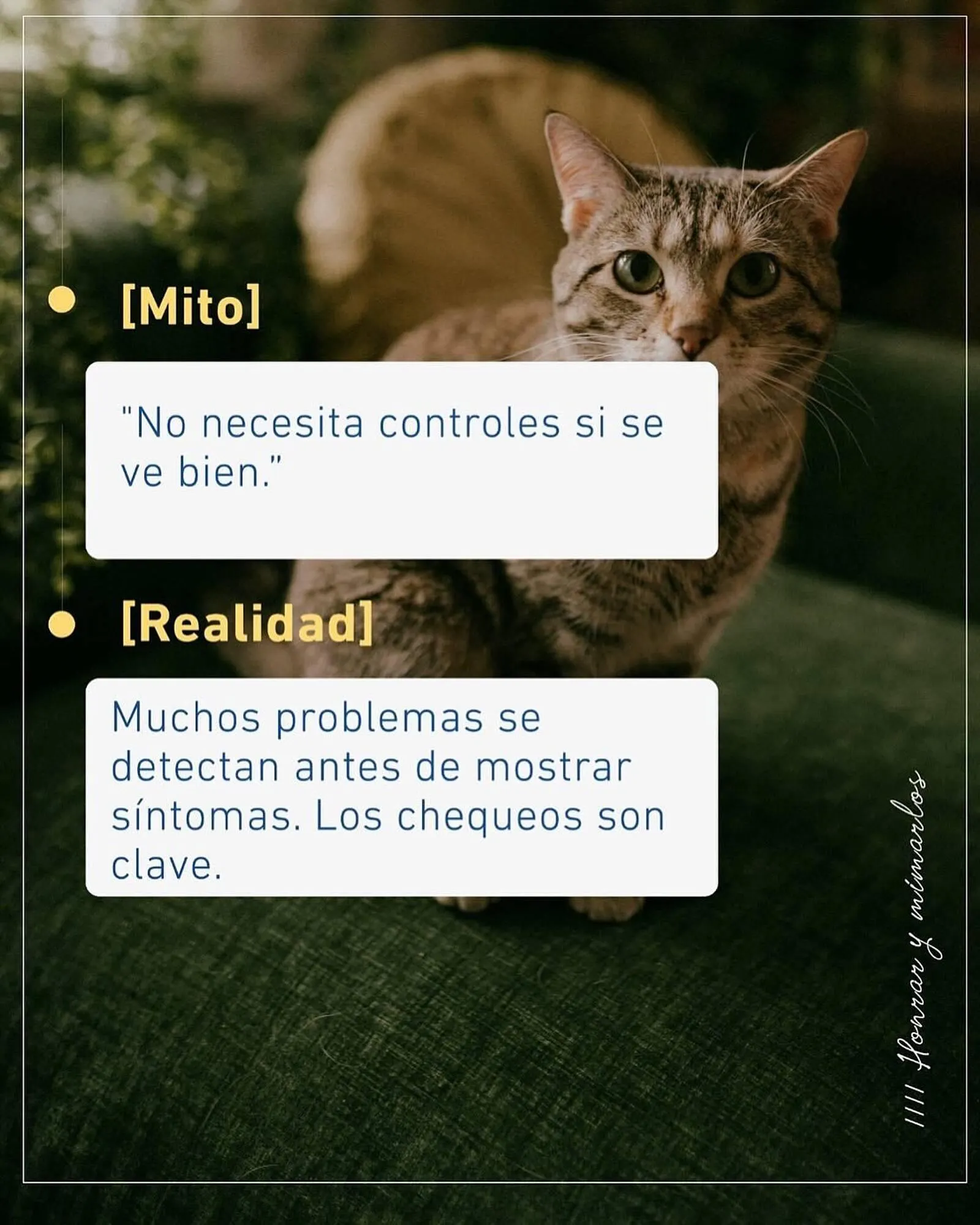 Ofertas de Catálogo Puppis 1 de agosto al 2 de agosto 2025 - Página 5 del catálogo