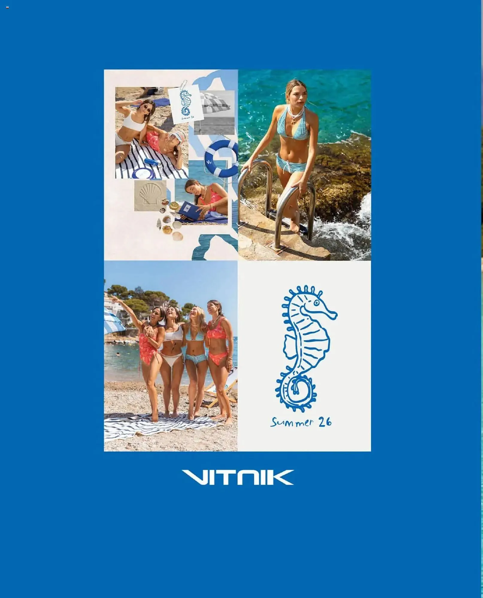 Ofertas de Catálogo Vitnik 1 de enero al 31 de diciembre 2026 - Página 259 del catálogo