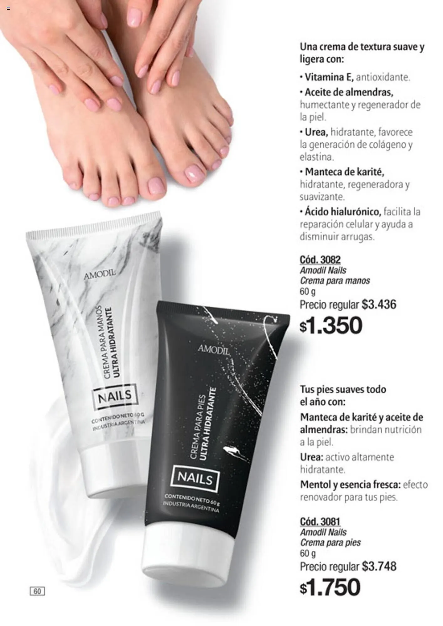 Ofertas de Catálogo Amodil 6 de diciembre al 19 de diciembre 2023 - Página 60 del catálogo