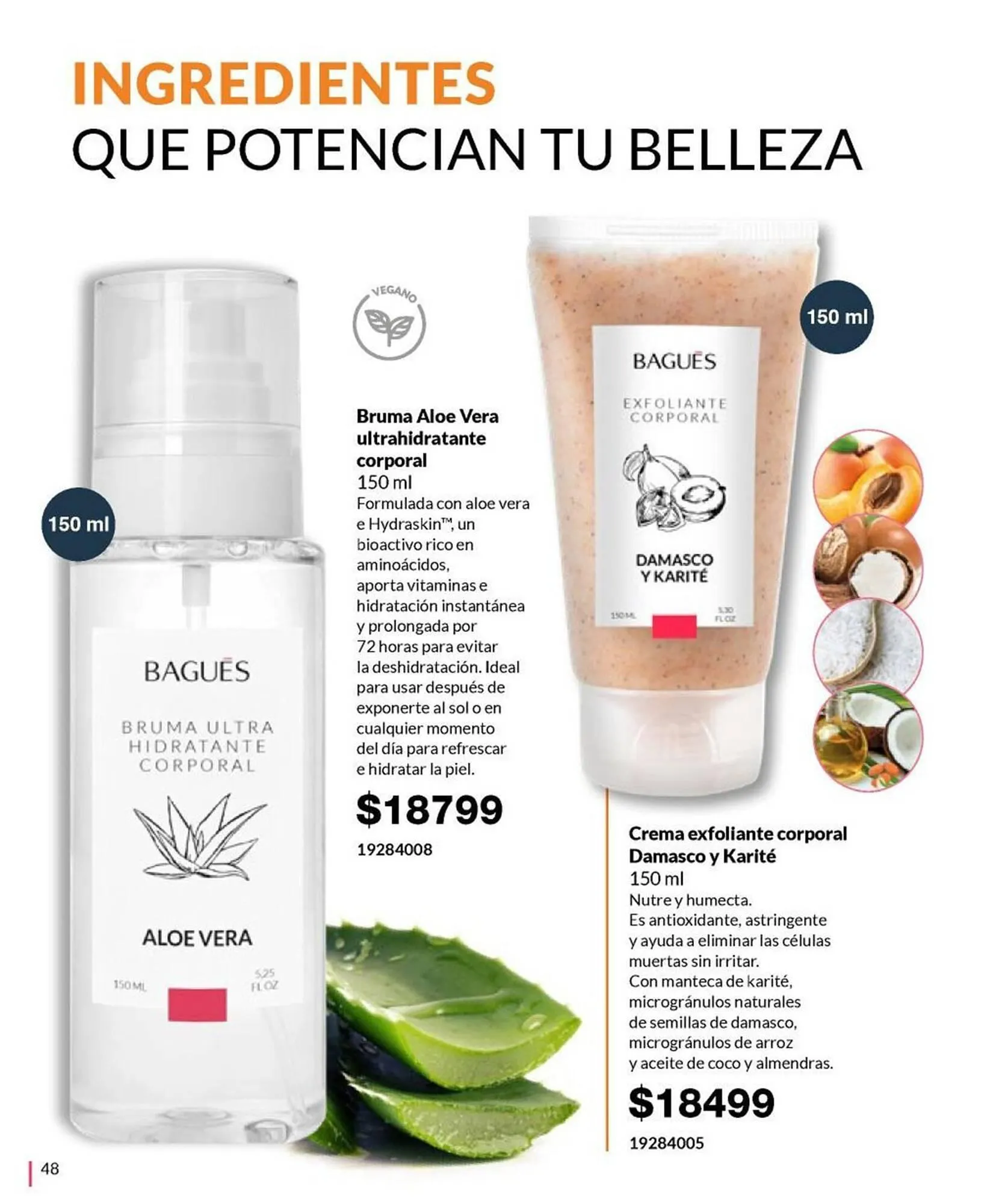 Ofertas de Catálogo Bagués 20 de octubre al 3 de noviembre 2024 - Página 62 del catálogo