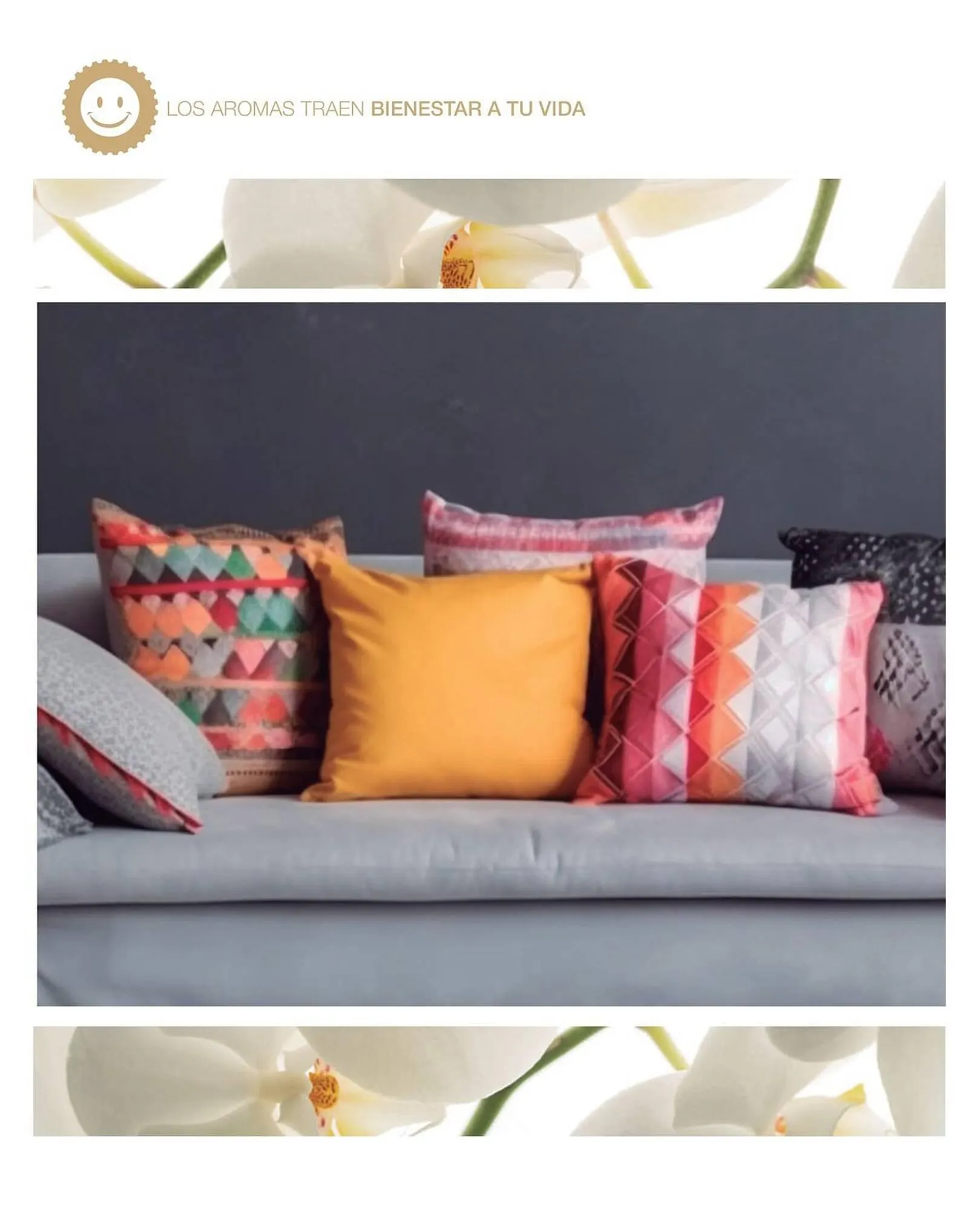 Ofertas de Catálogo Biogreen 20 de octubre al 30 de noviembre 2023 - Página 46 del catálogo