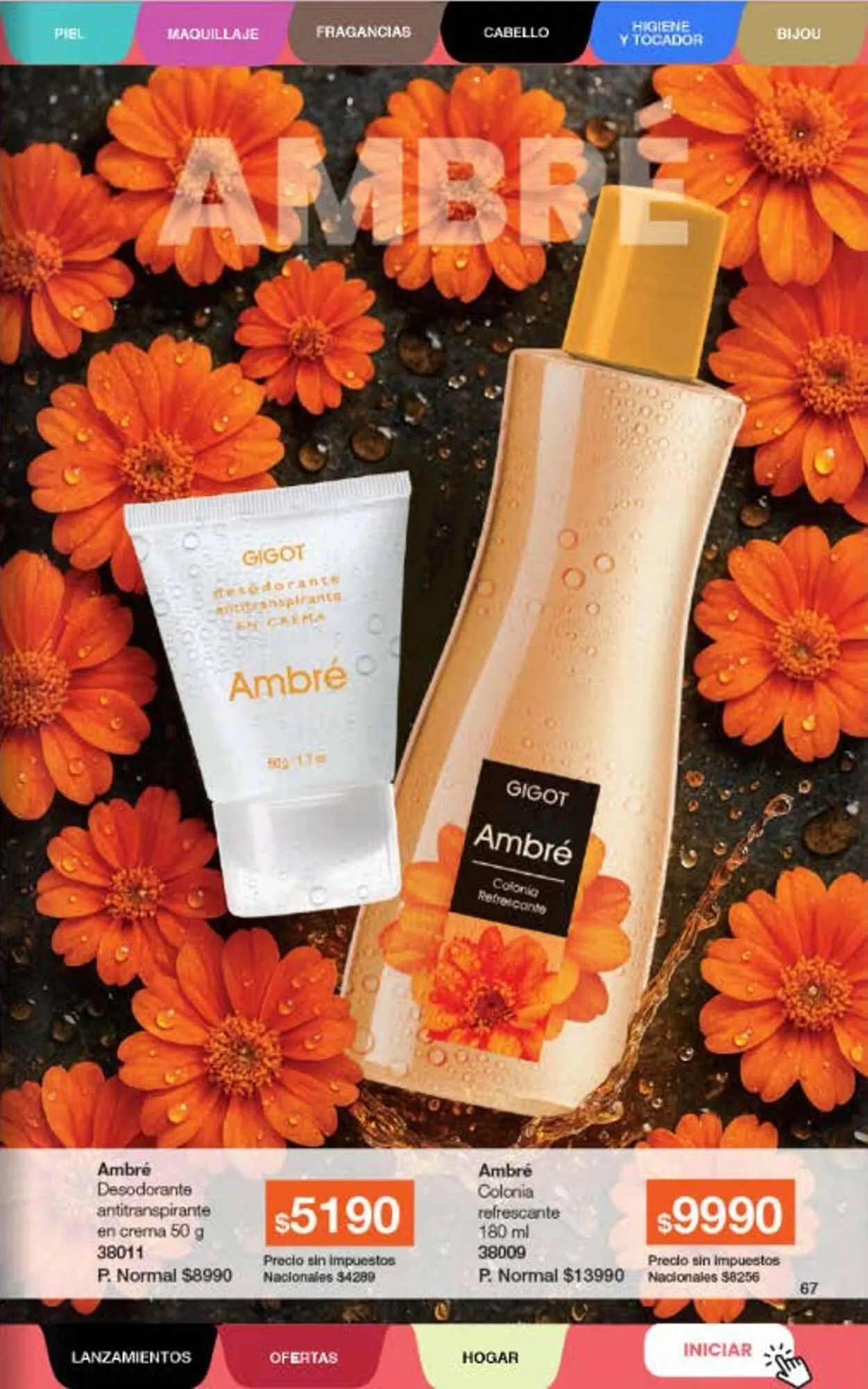 Ofertas de Folleto Gigot 5 de febrero al 28 de febrero 2026 - Página 87 del catálogo