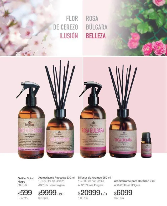 Ofertas de Catálogo de productos Biogreen! 27 de agosto al 11 de septiembre 2024 - Página 18 del catálogo