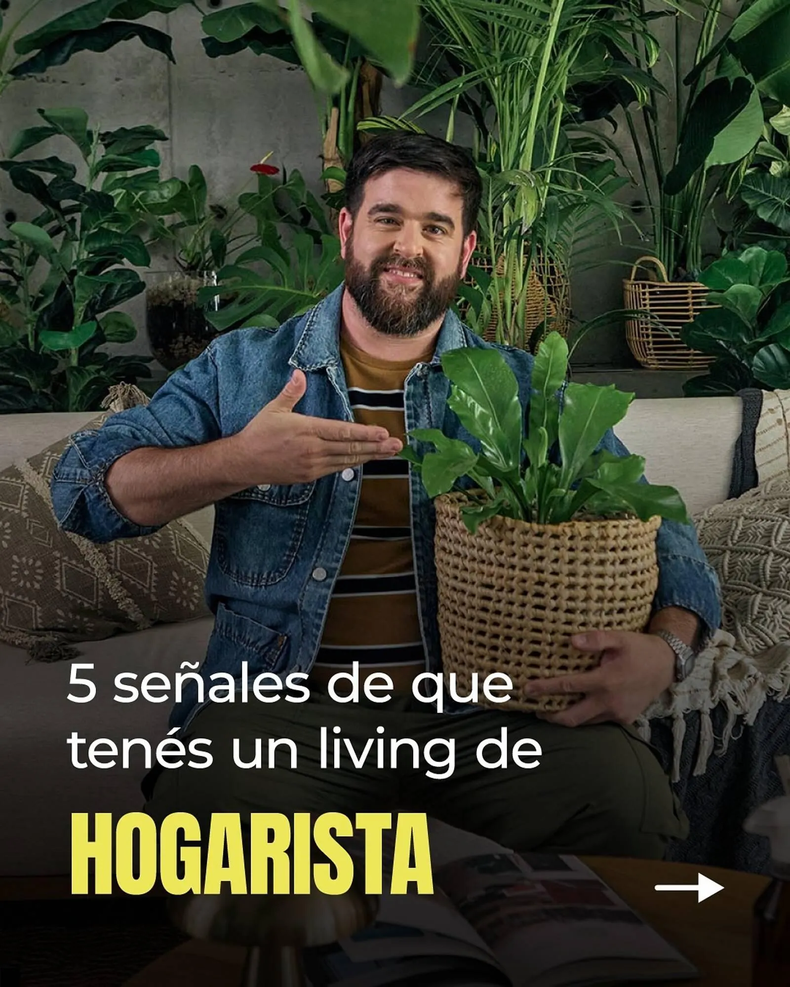 Ofertas de Catálogo Arredo 21 de mayo al 31 de mayo 2025 - Página 1 del catálogo