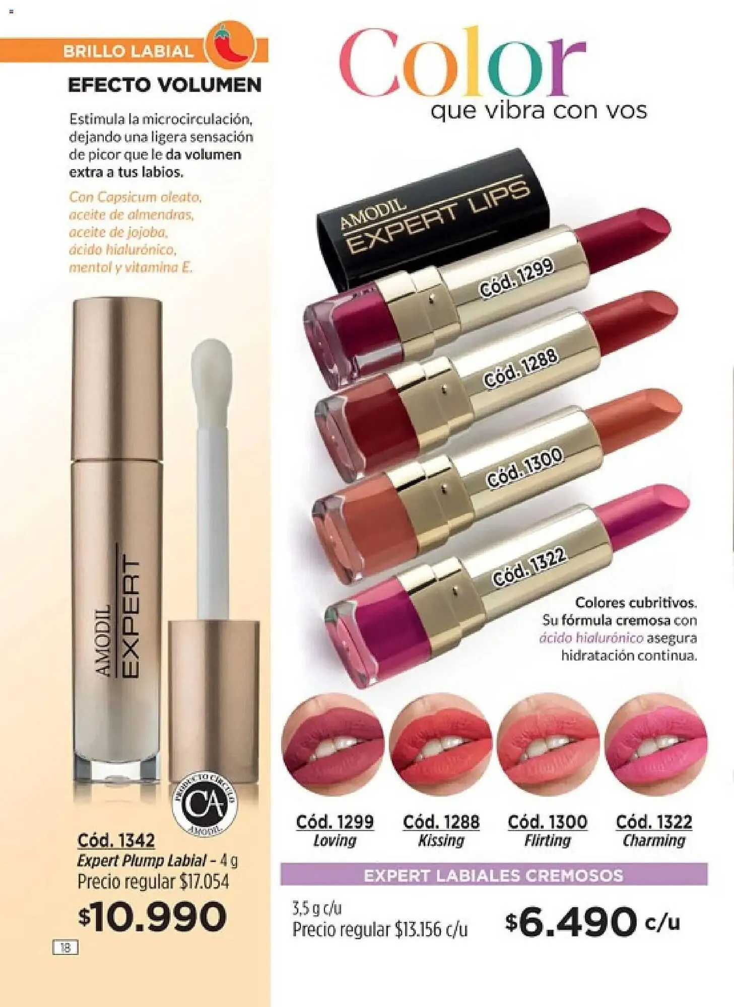 Ofertas de Catálogo Amodil 1 de marzo al 31 de marzo 2026 - Página 18 del catálogo